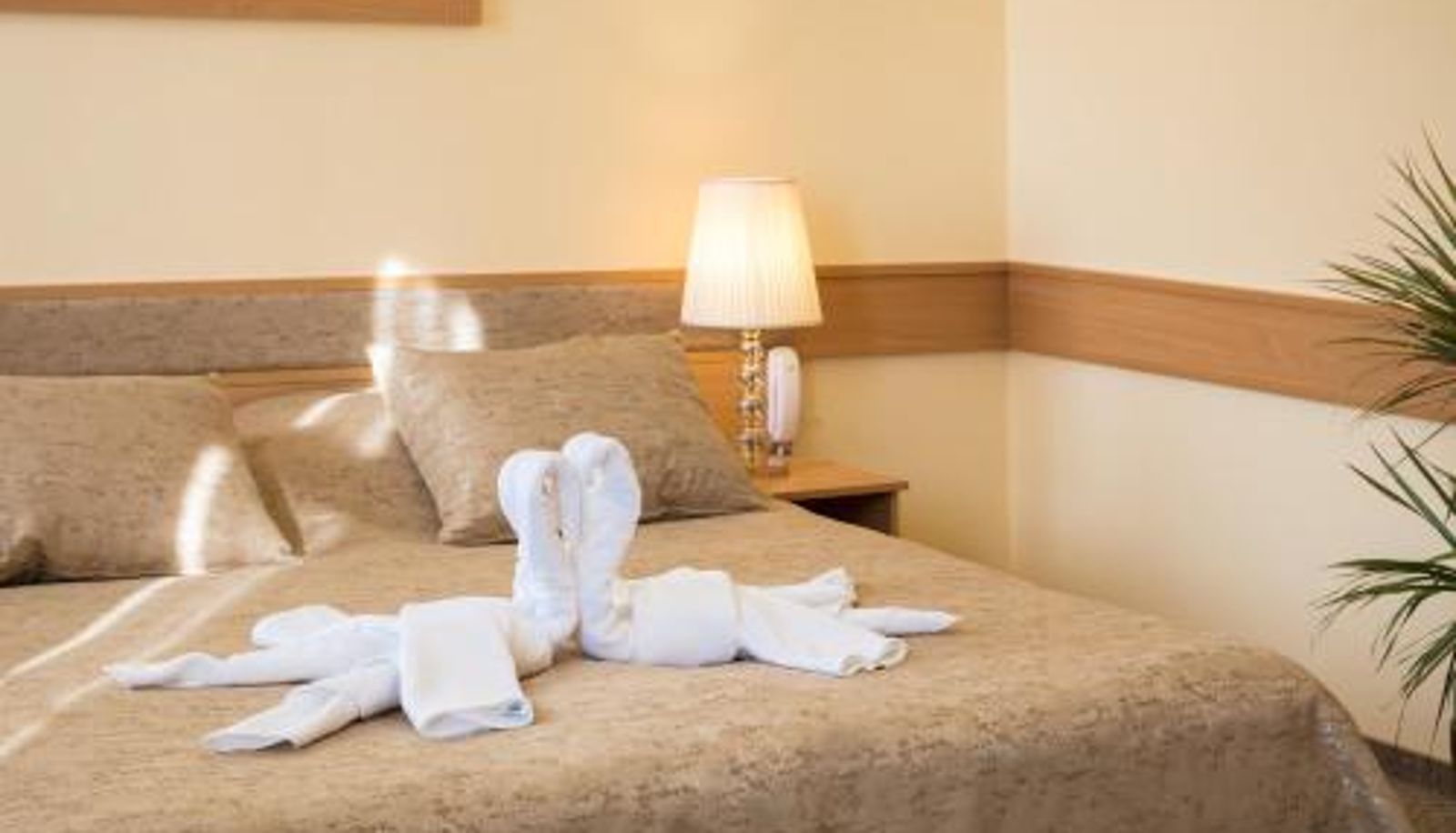 Información - Aquasol Resort
