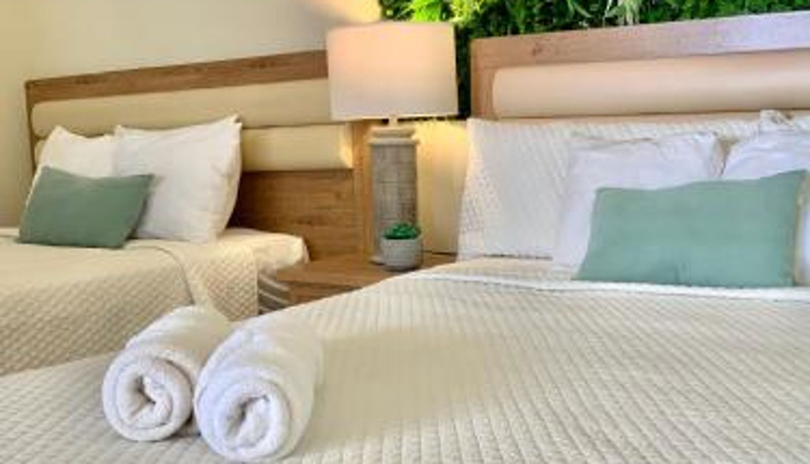 Room - Paradise Surf Hotel