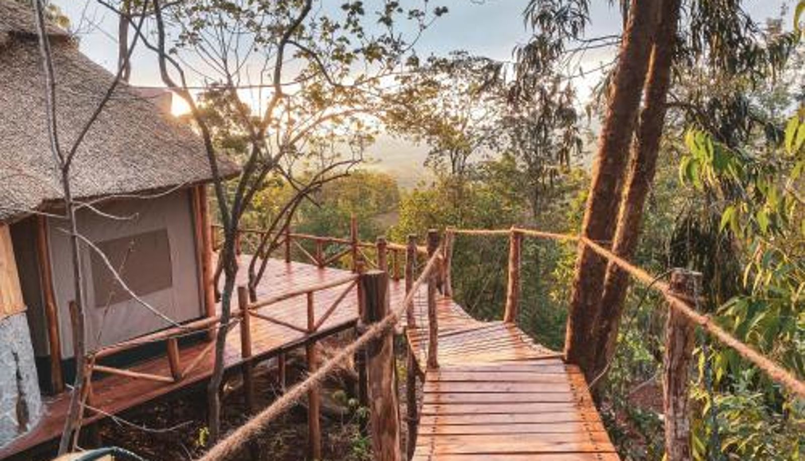 Chambre - Foresight Eco Lodge & Safari