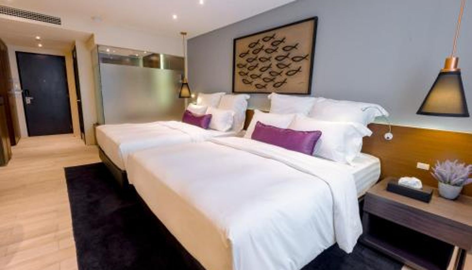 Información - Coro Hotel