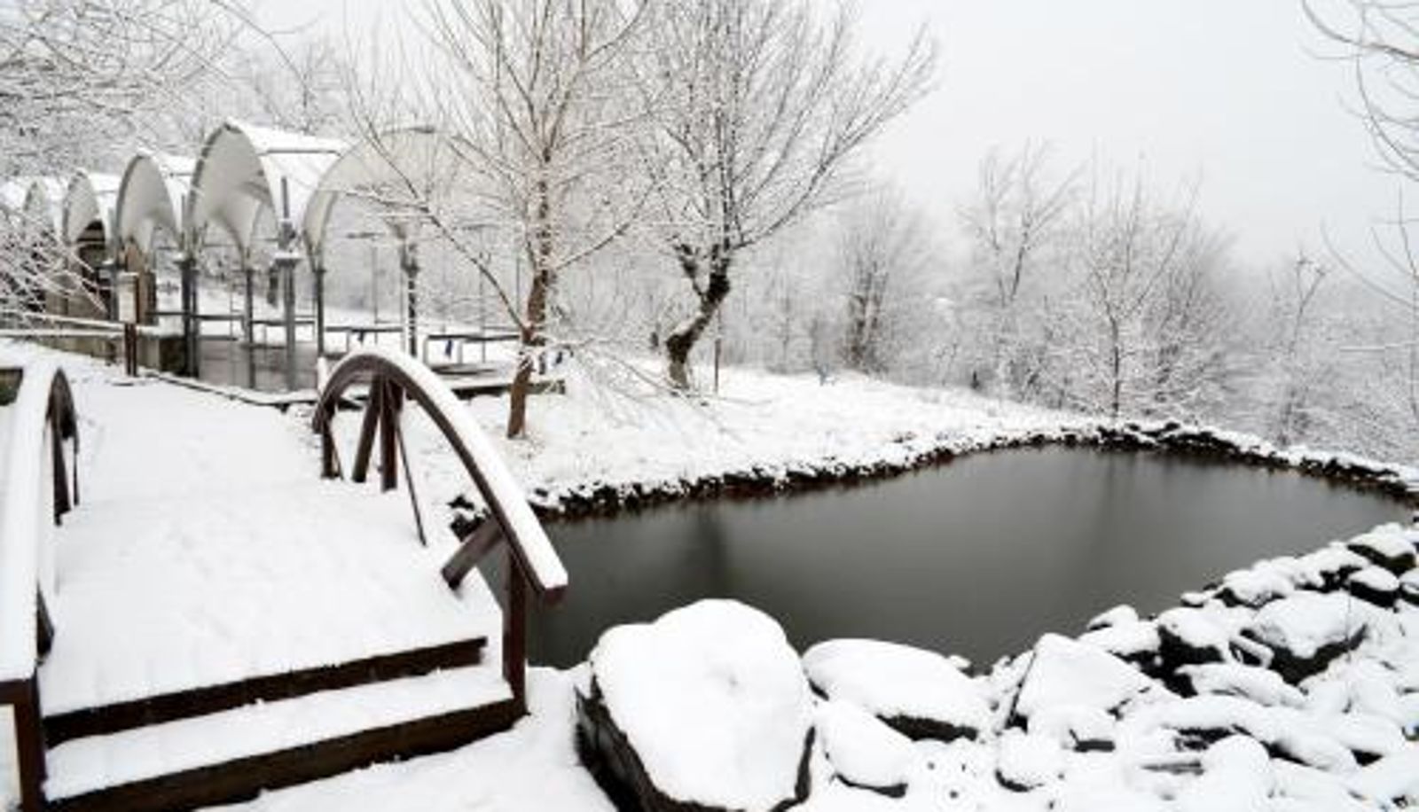 Info - Gabala Shooting Club