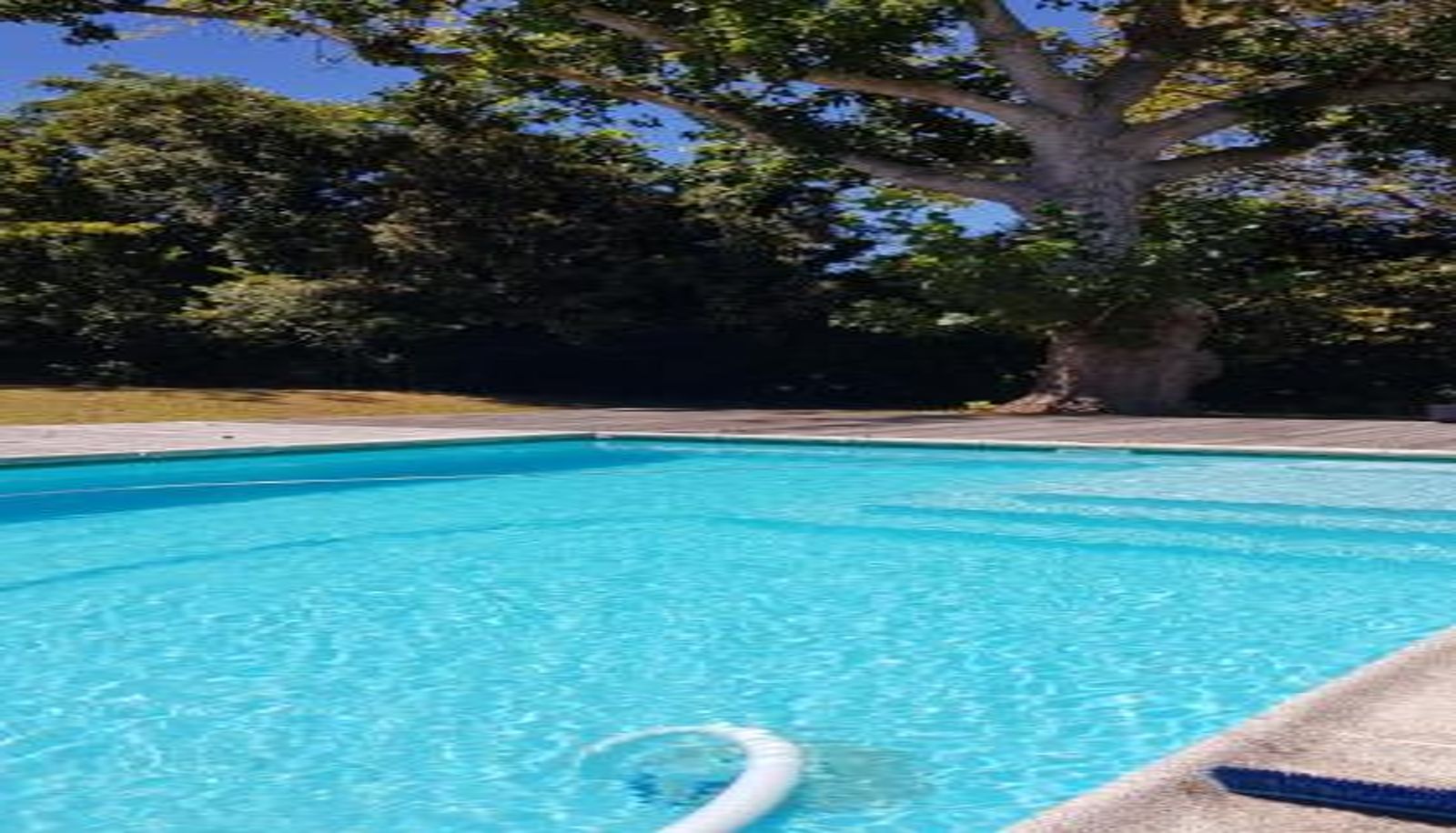 Info - Bloom Guest House