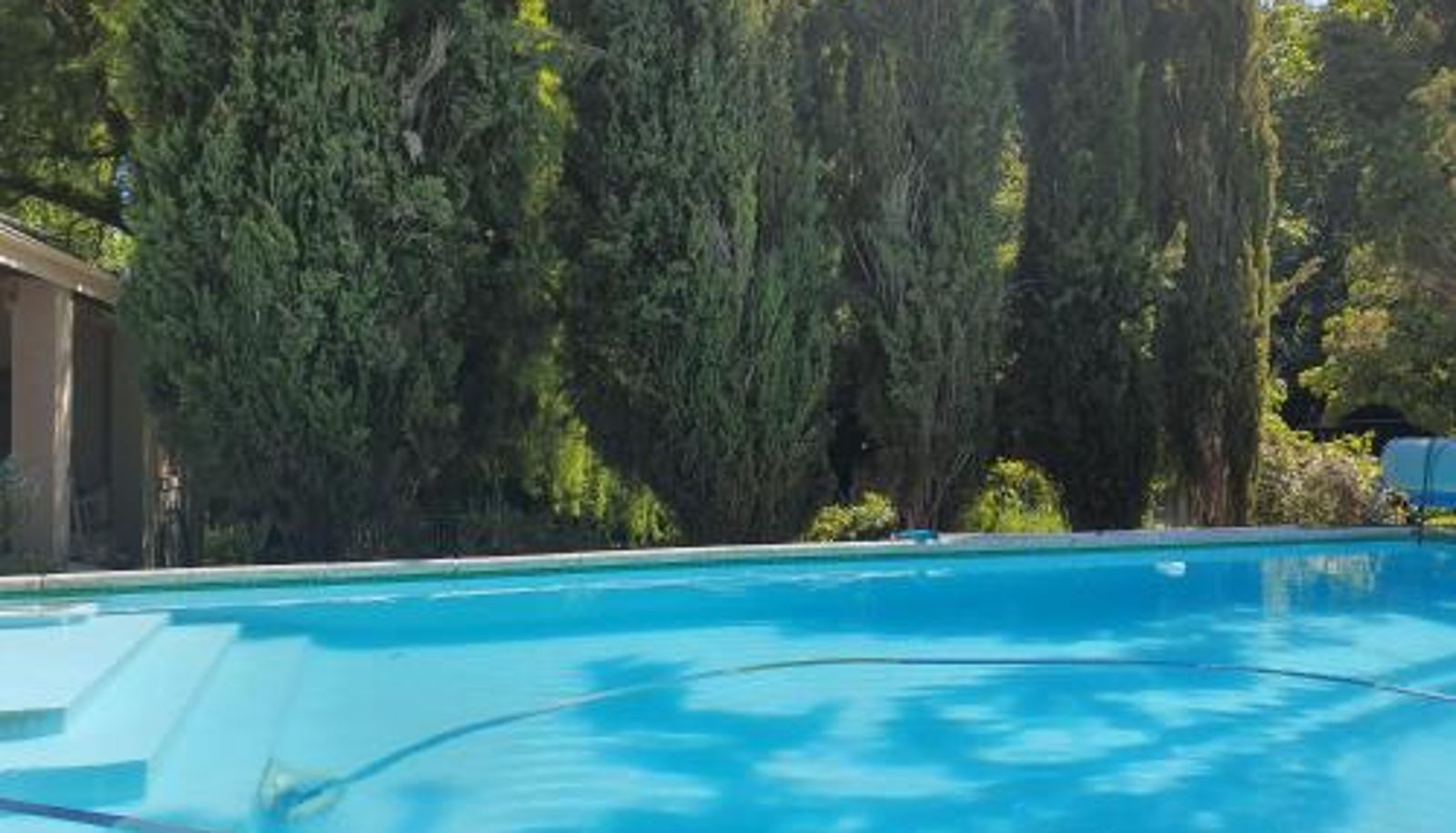 Info - Bloom Guest House