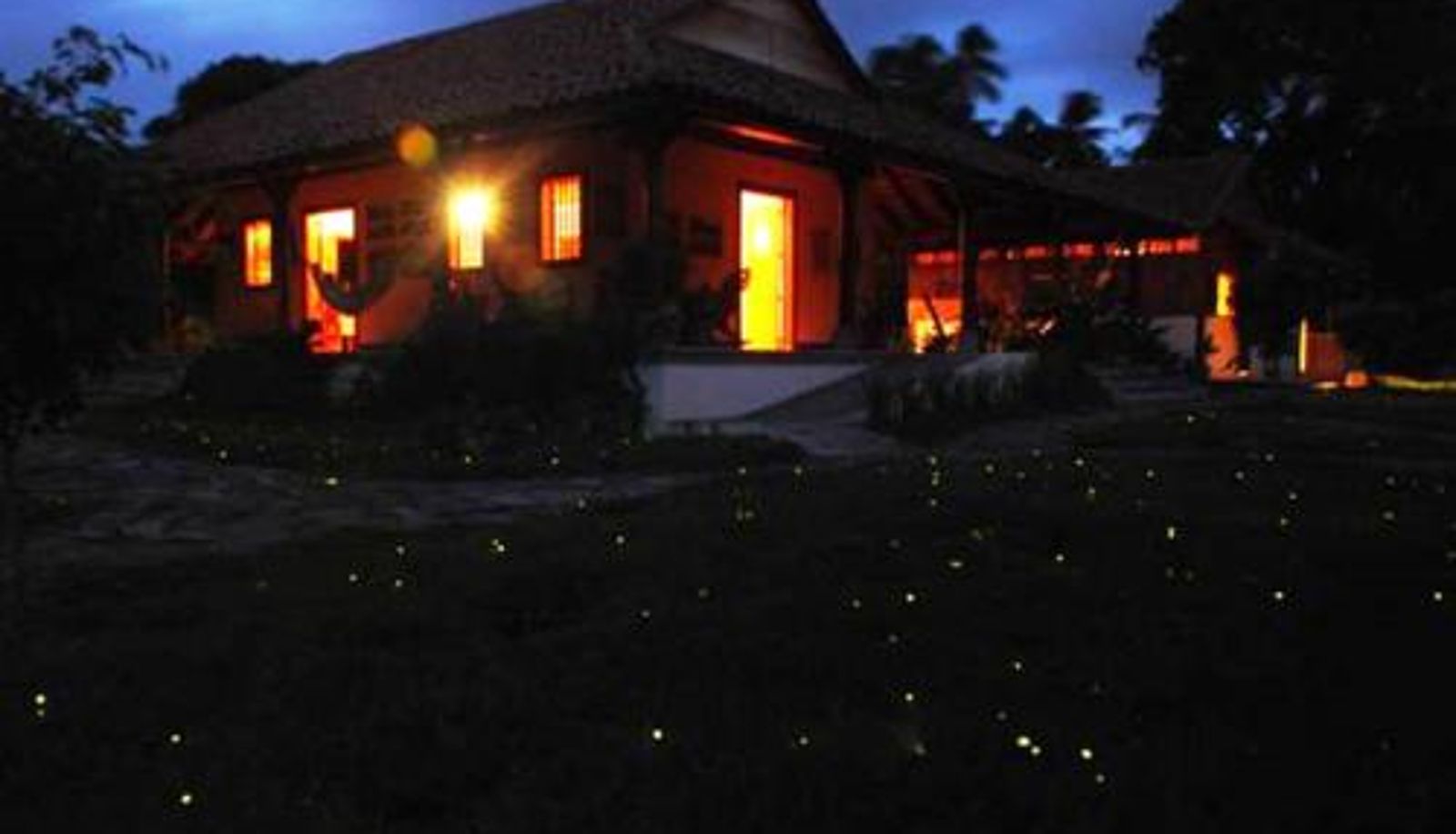 Info - Hotel San Juan Ometepe
