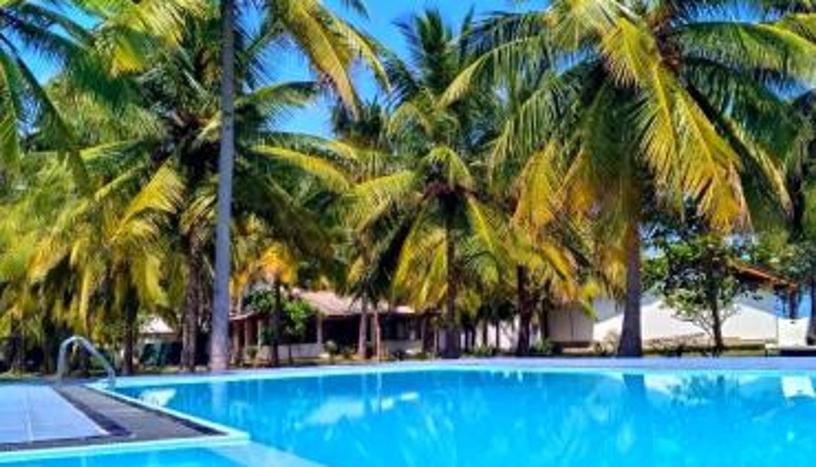 Pool - Pearl Oceanic Resort - Trincomalee