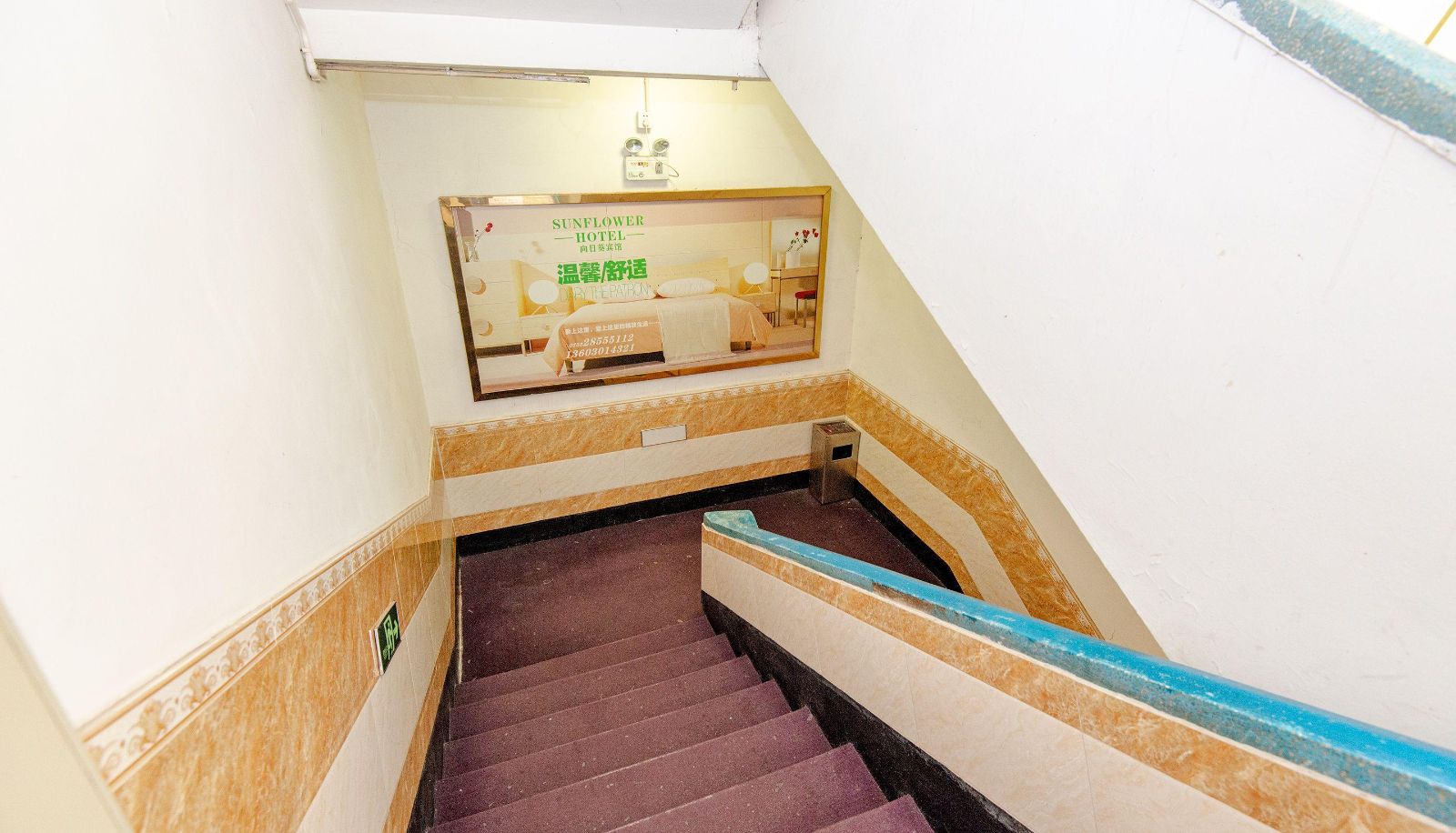 Extérieur de l'hôtel - Sunflower Hotel