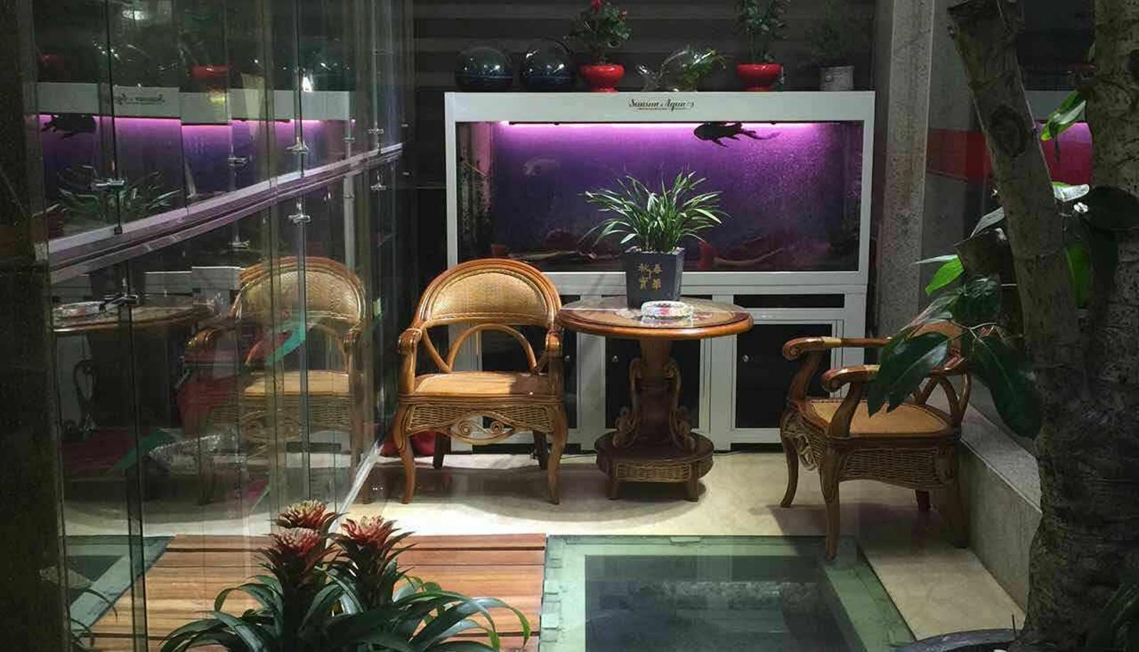 Hotel outdoor area - Dongfang Hotel (Railway Station Store)