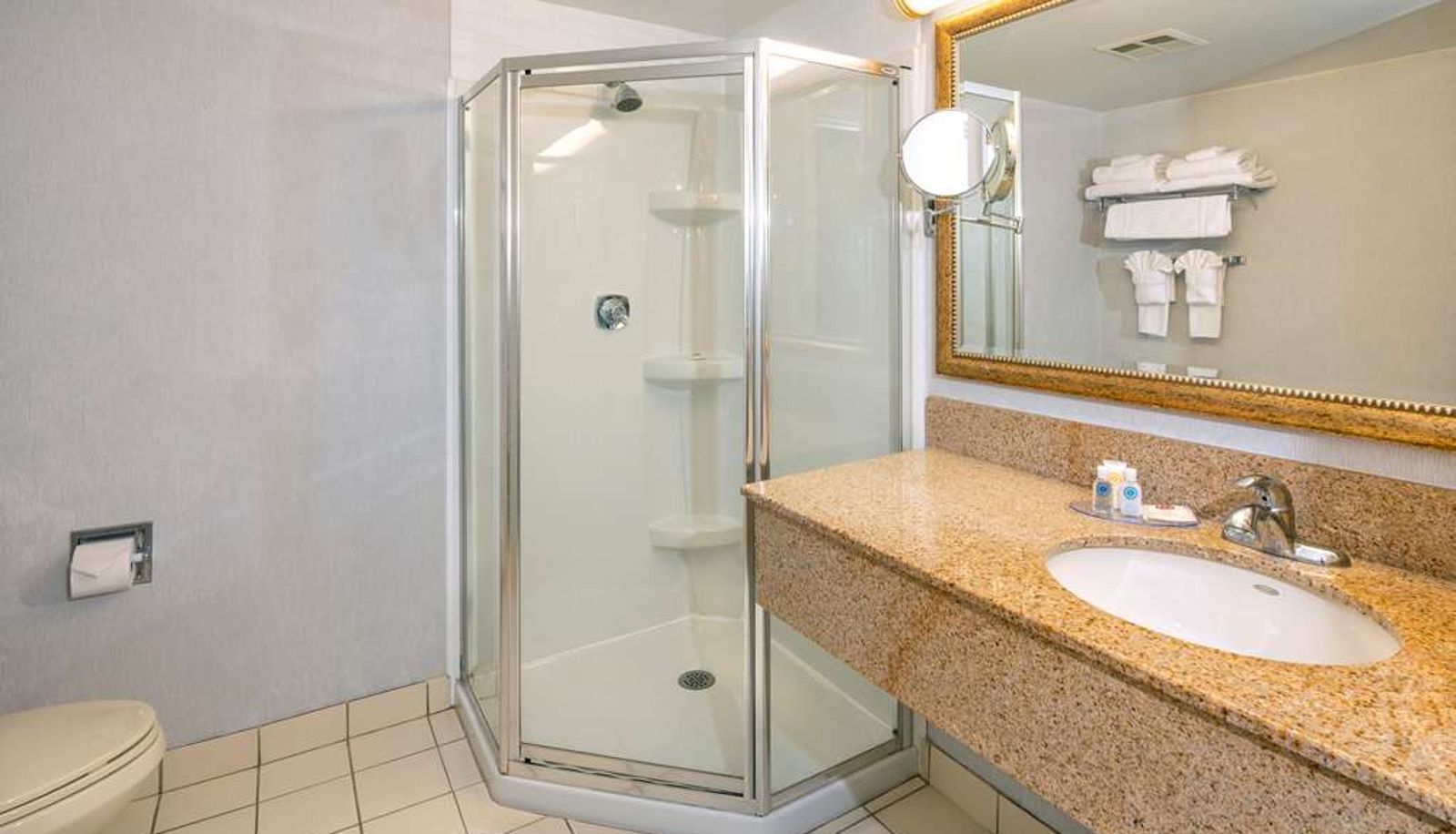 Zimmer - Comfort Hotel & Suites