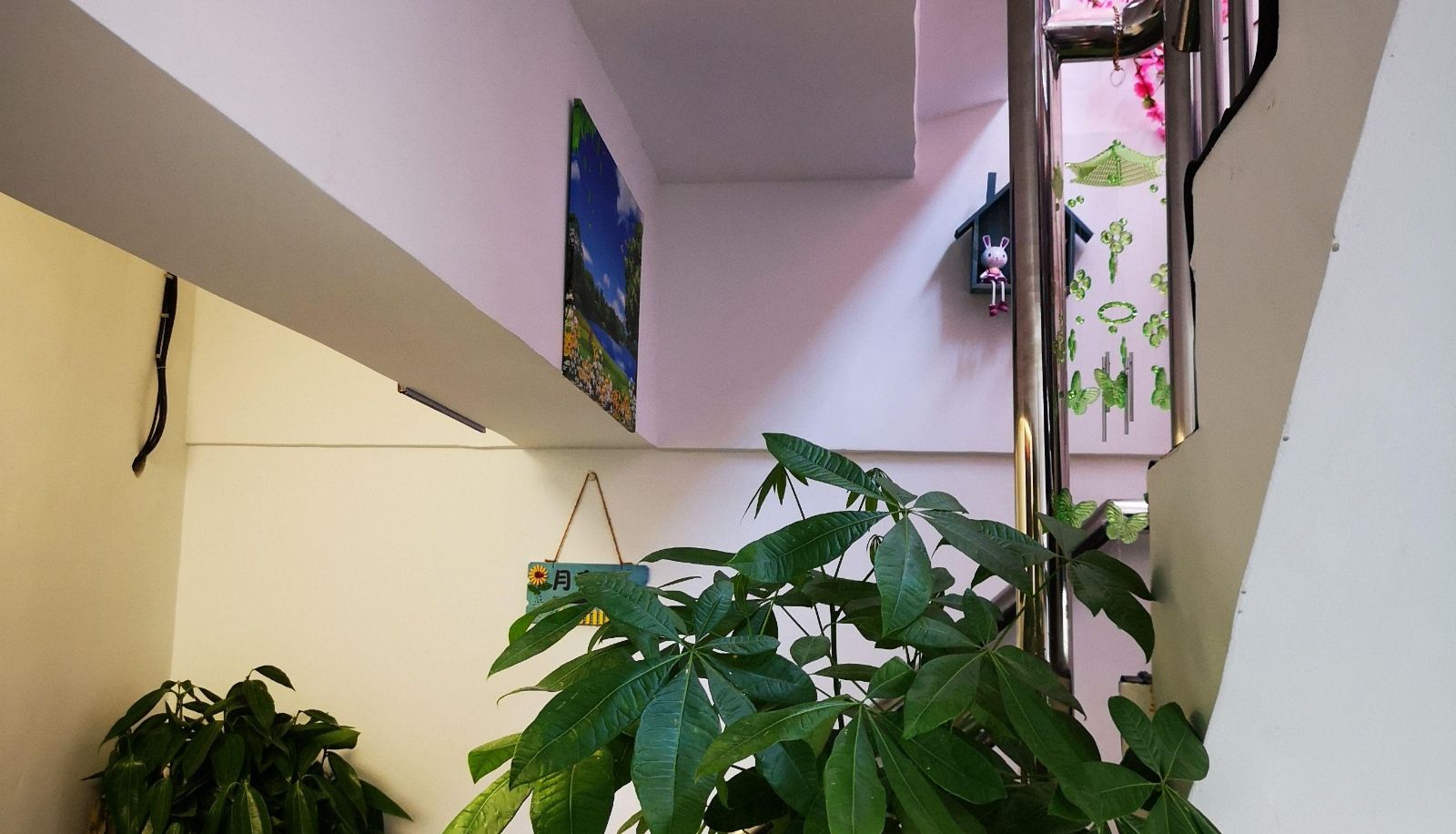 Area esterna dell'hotel - Xingyue Creative Hotel