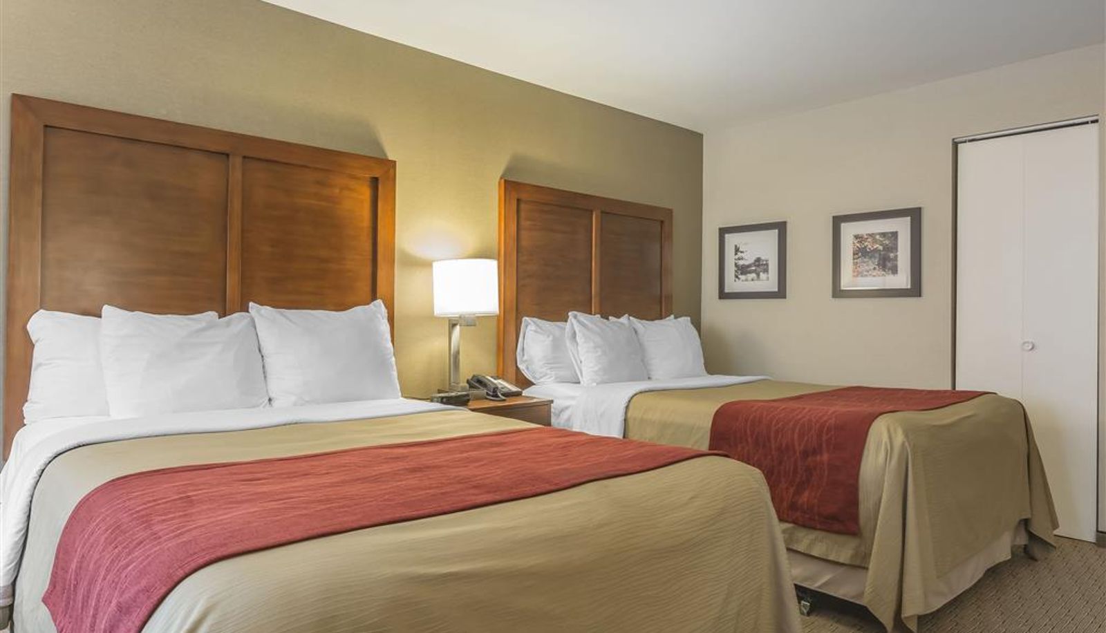 Habitación - Comfort Inn