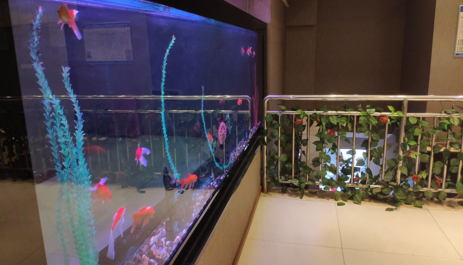 Hotel outdoor area - Junhao Hotel (Huaxi Sports Center Store)