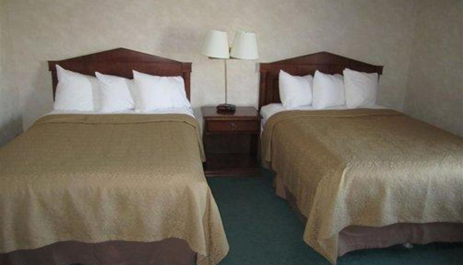Room - Quality Inn