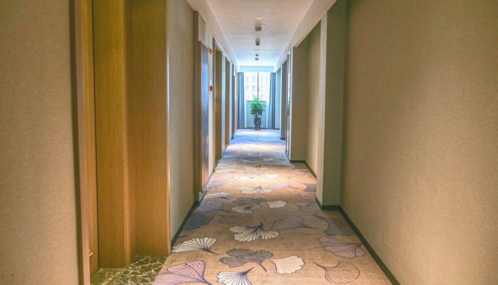 Area esterna dell'hotel - Green Oriental Hotel (Fuzhou Nancheng County High Speed Rail Station Store)