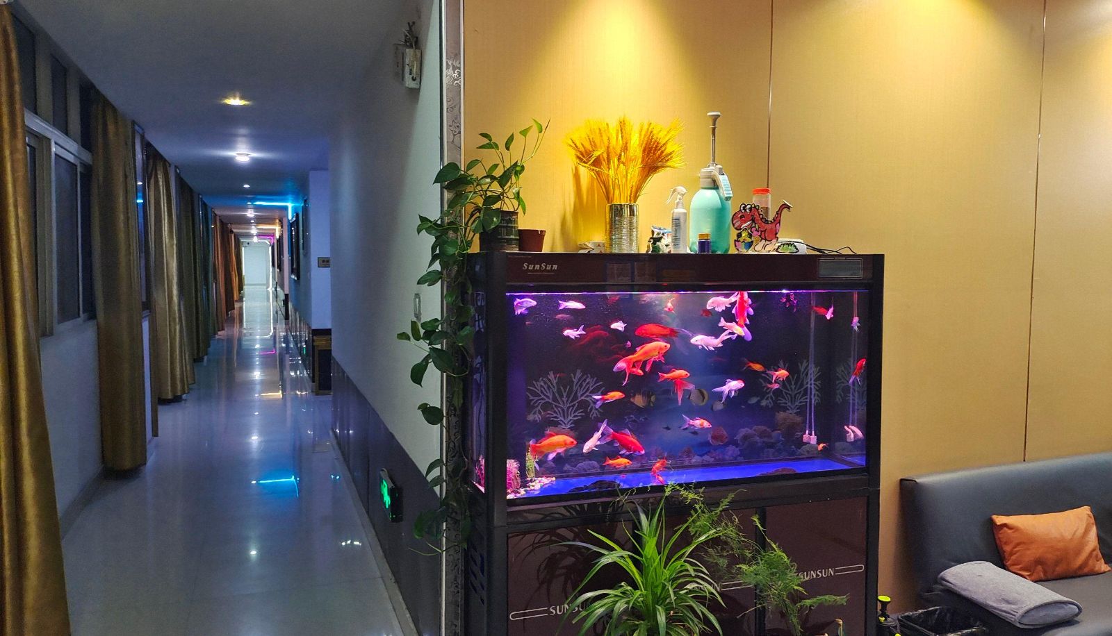 Hotel Außenbreich - Siyang County)  Renmin Road Pinshang Business Hotel (Columbus Plaza Store
