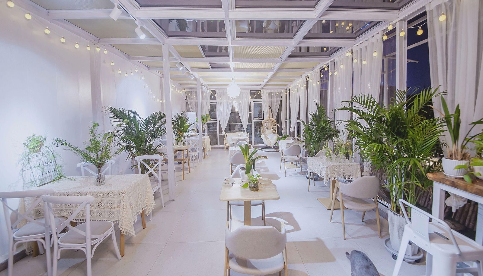 Hotel outdoor area - Old Dream Garden Cat Cafe Hotel (Liangjiang Sihu Elephant Trunk Mountain Branch)