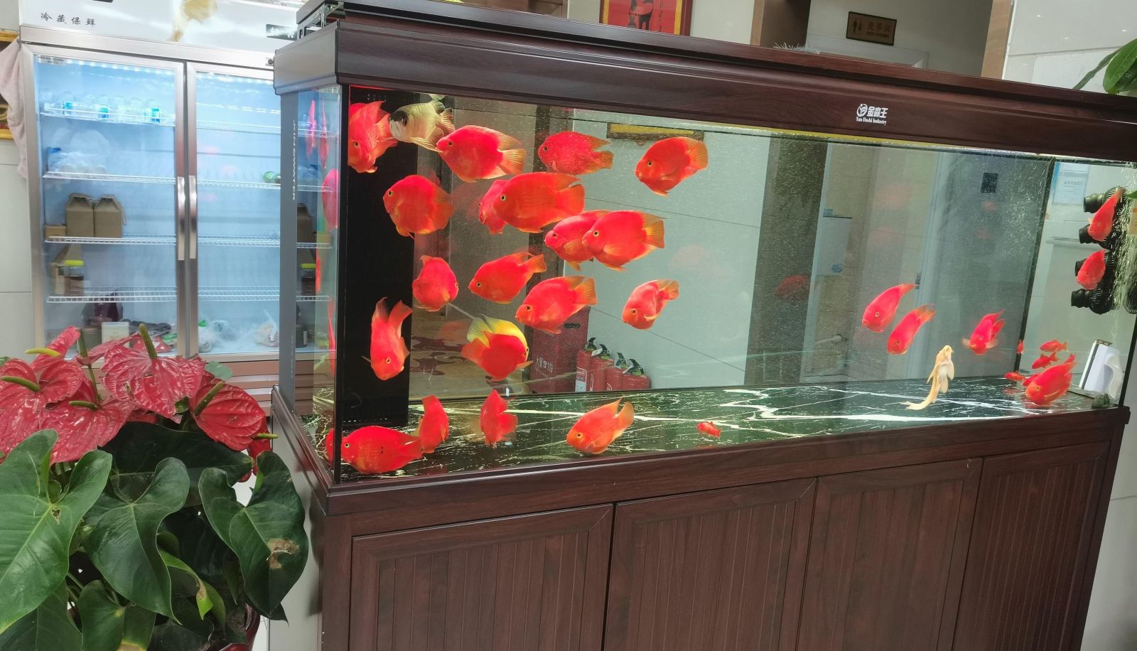 Area esterna dell'hotel - Xinxin Yiran Hotel