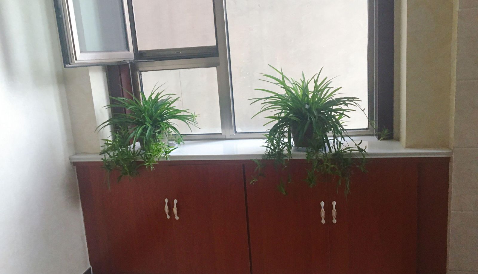 Zewnętrzna część hotelu - Liangyou Boutique Hotel