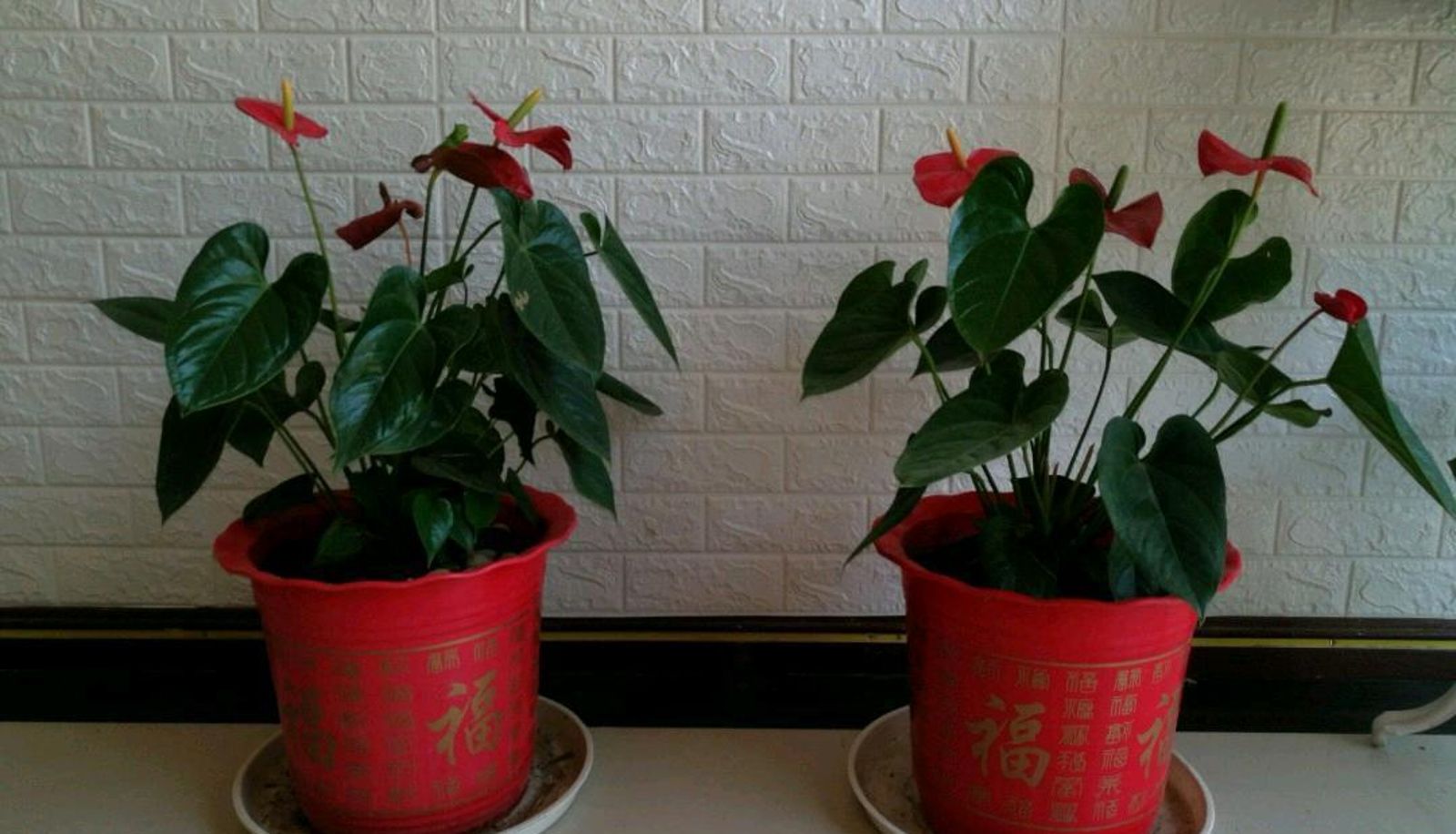 Area esterna dell'hotel - Jiangnan Business Hotel