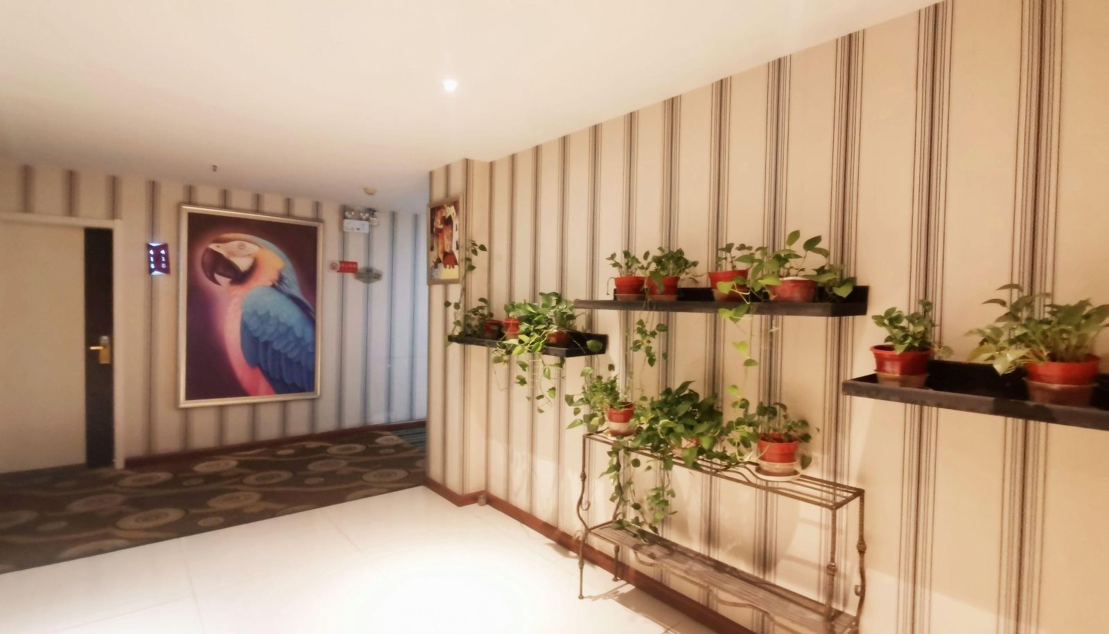 Extérieur de l'hôtel - Light Stay · Sunday Fashion Hotel (Shundu Avenue Store)