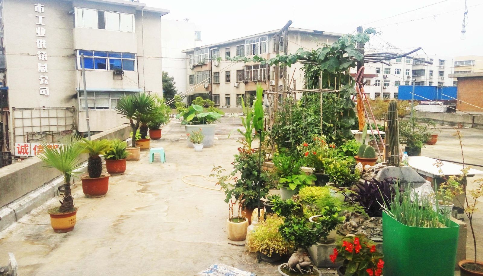Zona exterior del hotel - Shunda Hotel