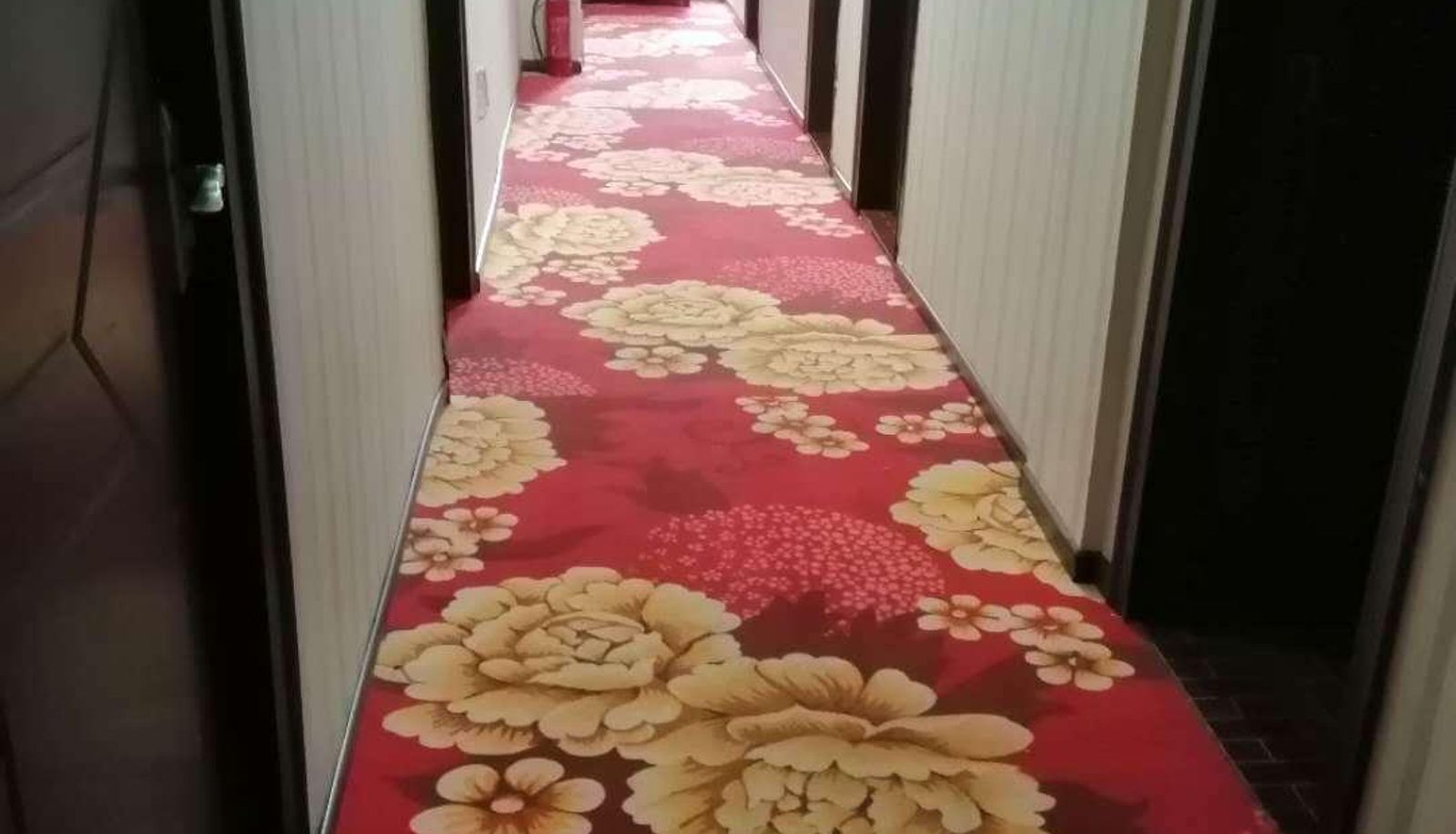 Extérieur de l'hôtel - Ashao Hotel
