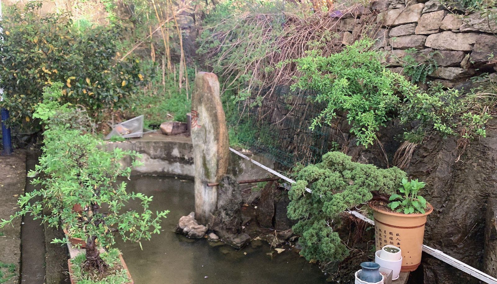 Area esterna dell'hotel - Qianyuan Ecological Park Hotel (Lianyungang Huaguoshan Branch)