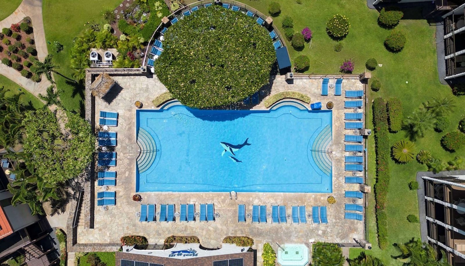 Pool - Aston Maui Hill