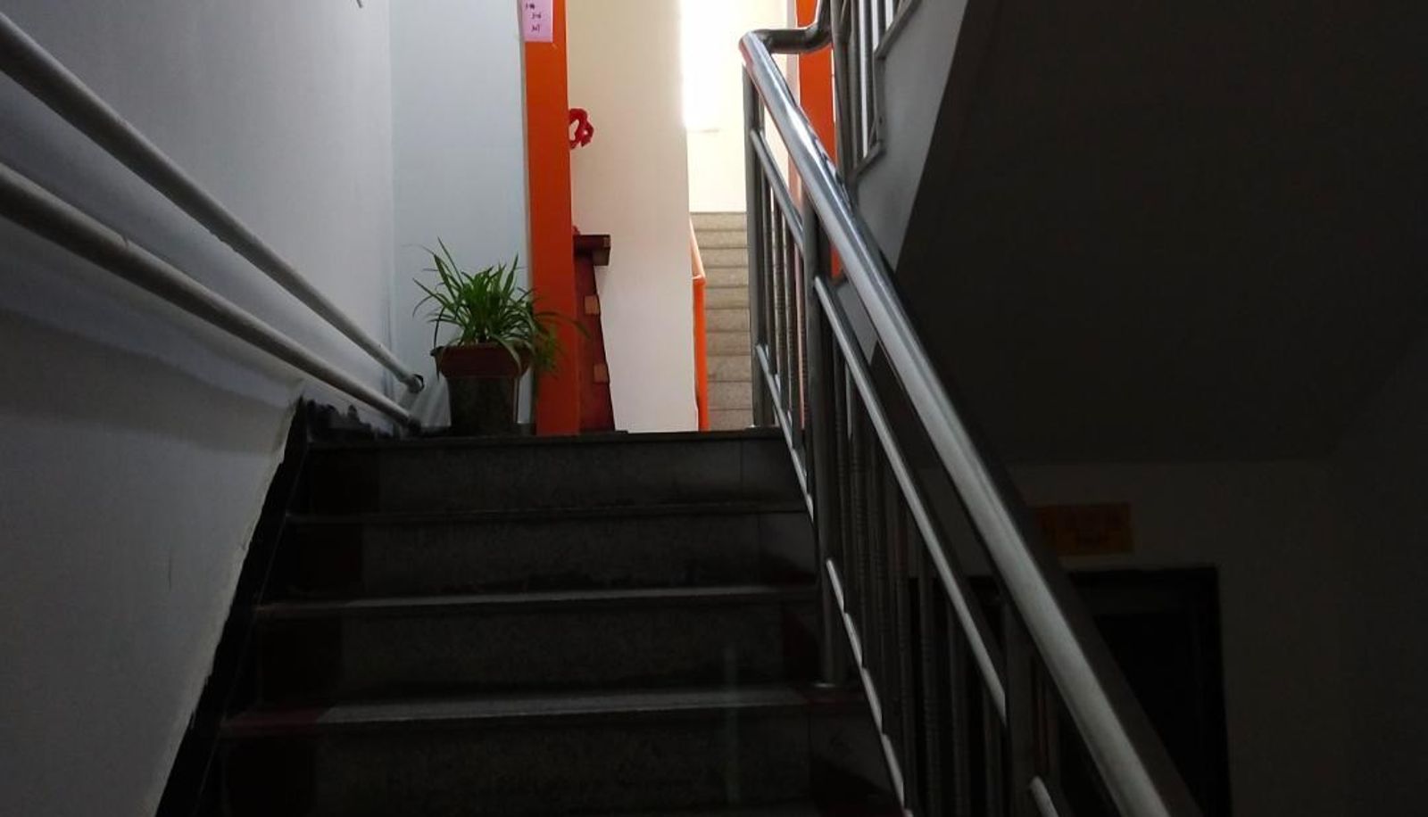 Hotel Außenbreich - Mango Hotel