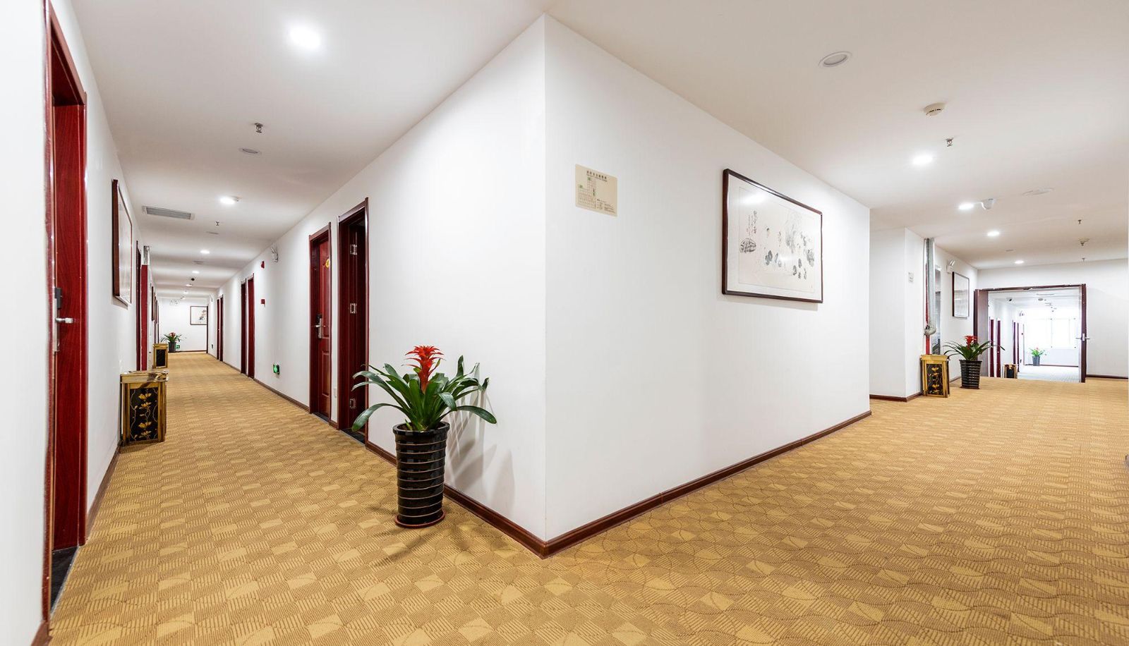 Area esterna dell'hotel - Taililai Hotel