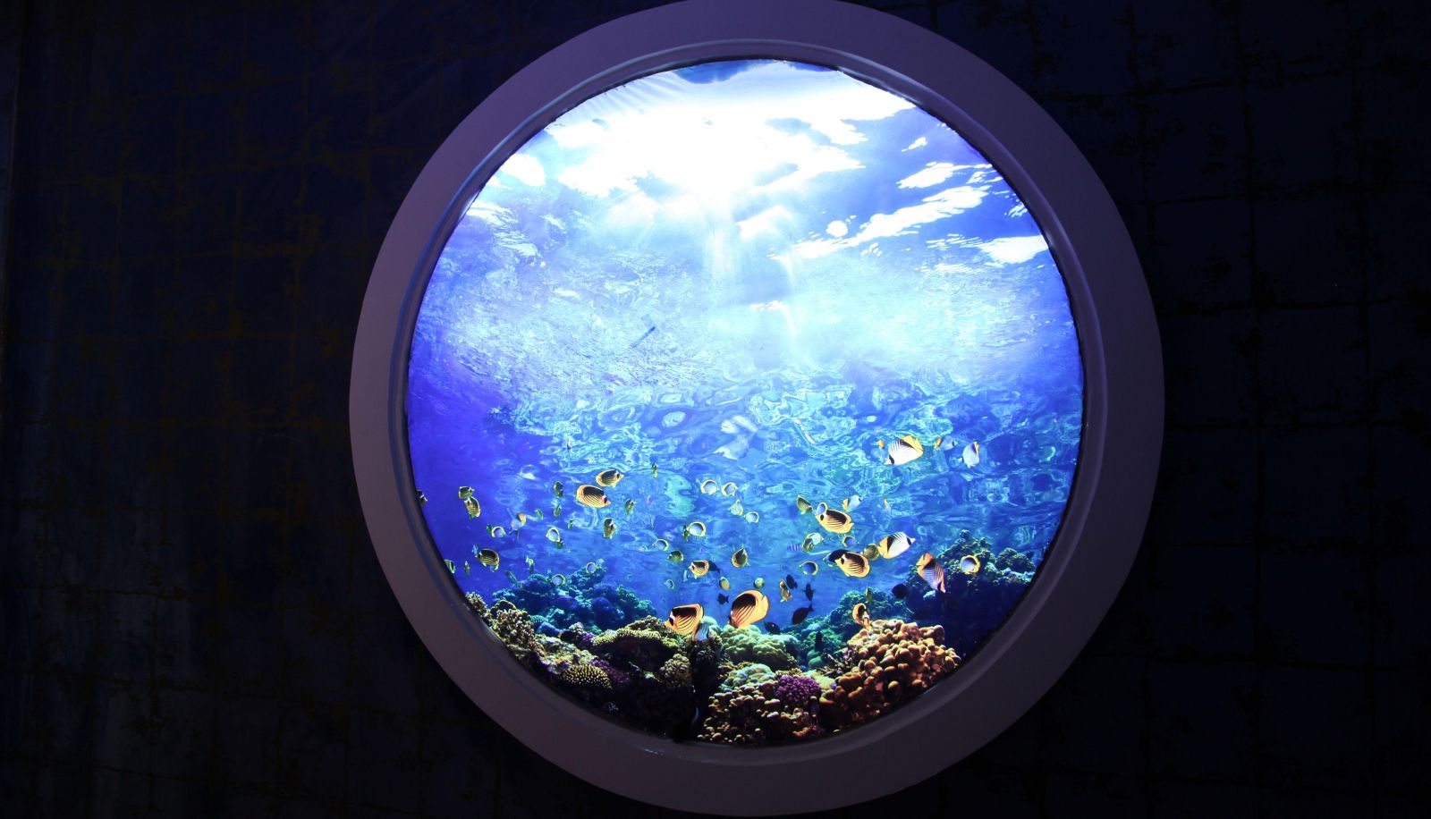 Area esterna dell'hotel - Sulu Concept Hotel