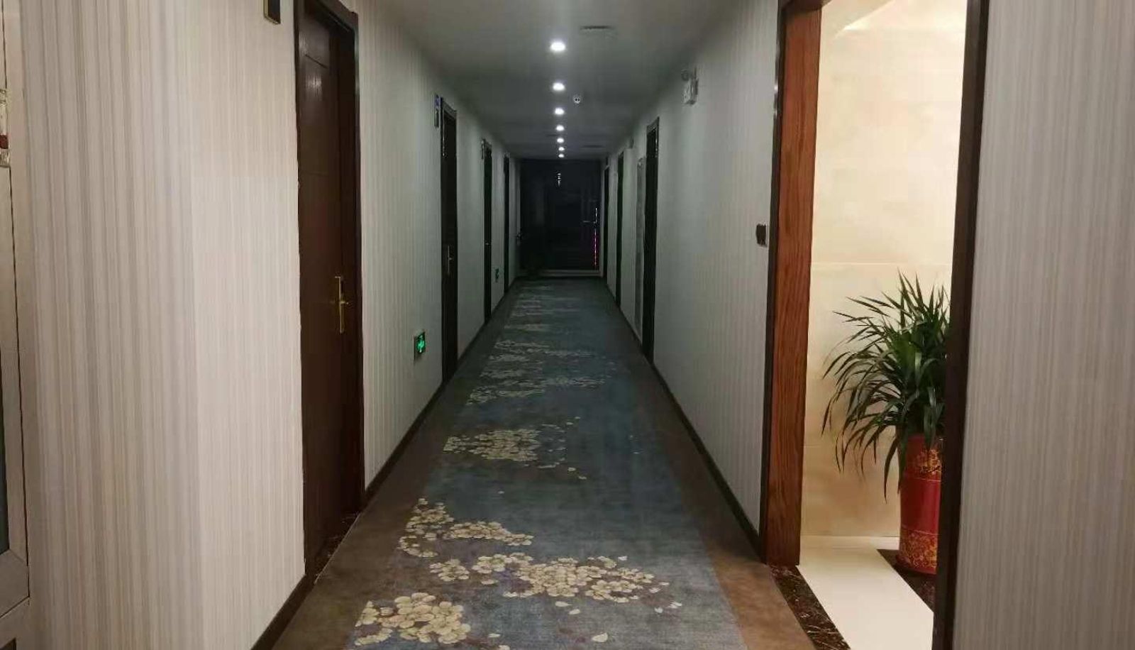 Extérieur de l'hôtel - VIP Building Hotel