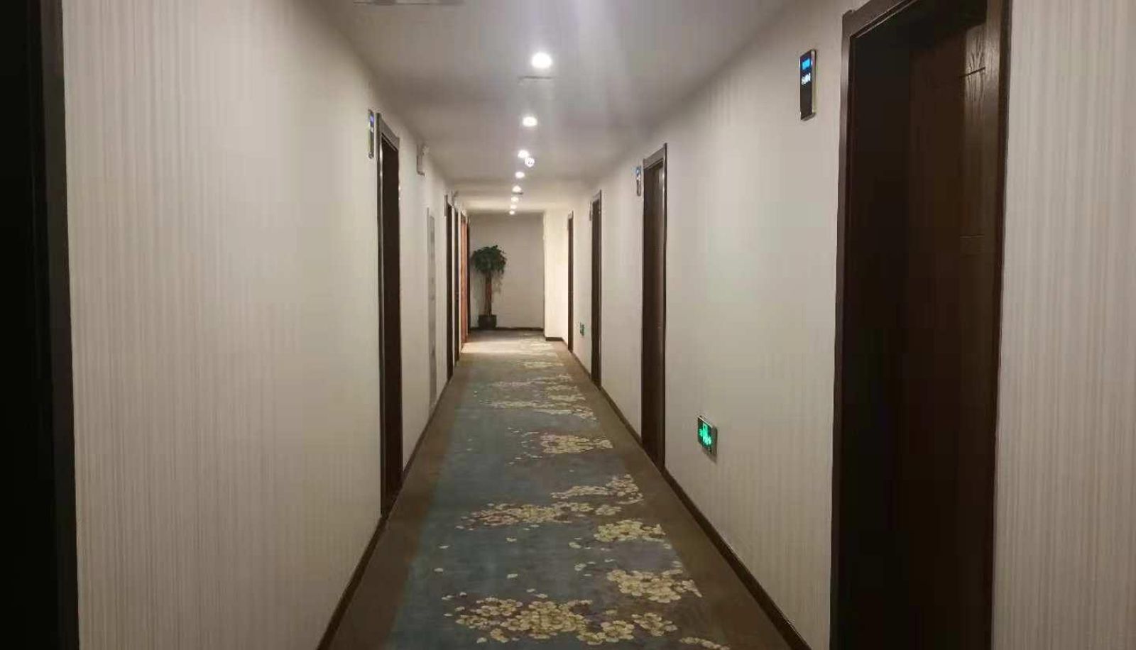 Extérieur de l'hôtel - VIP Building Hotel