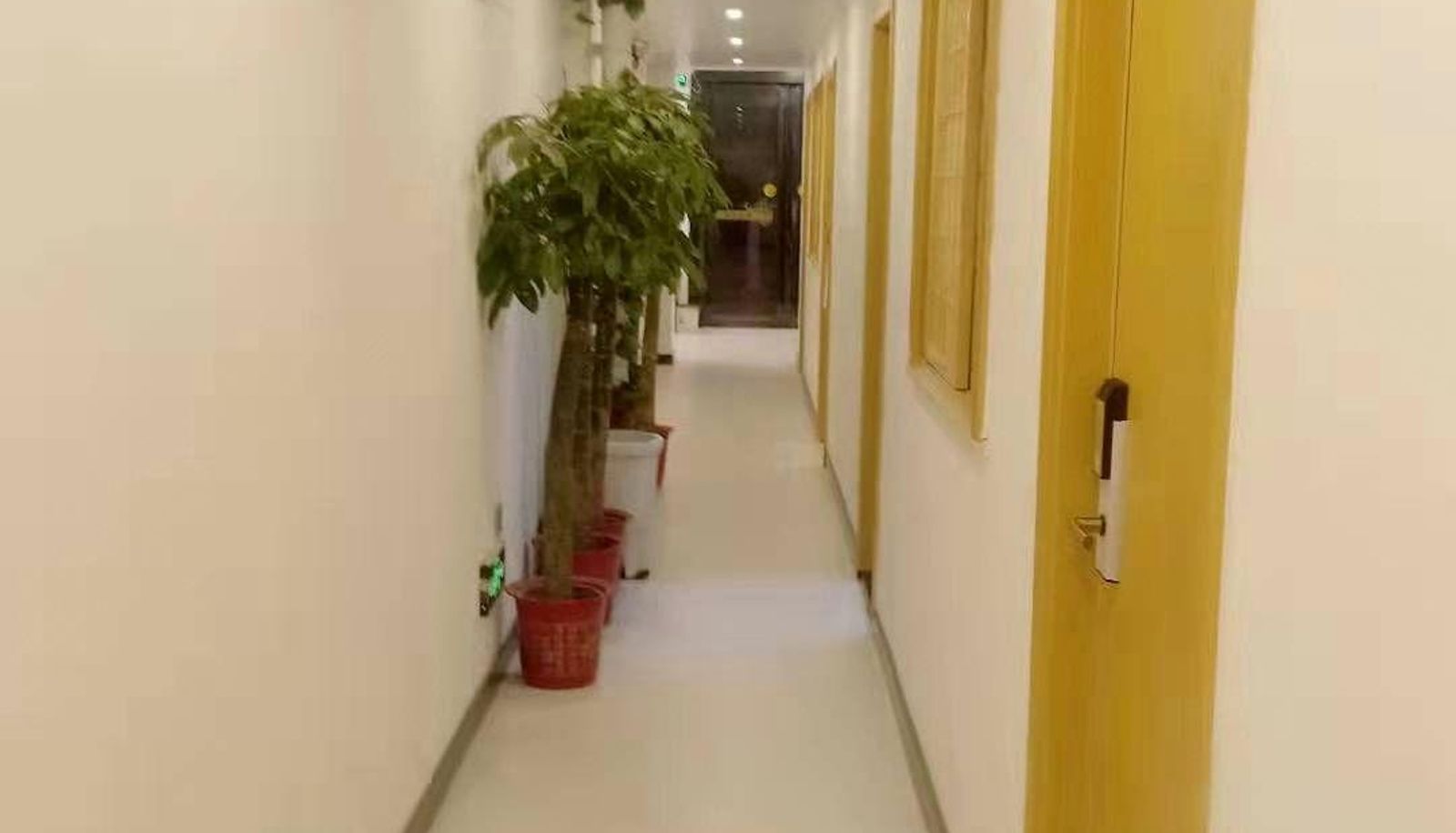 Zewnętrzna część hotelu - Xinchao Hotel
