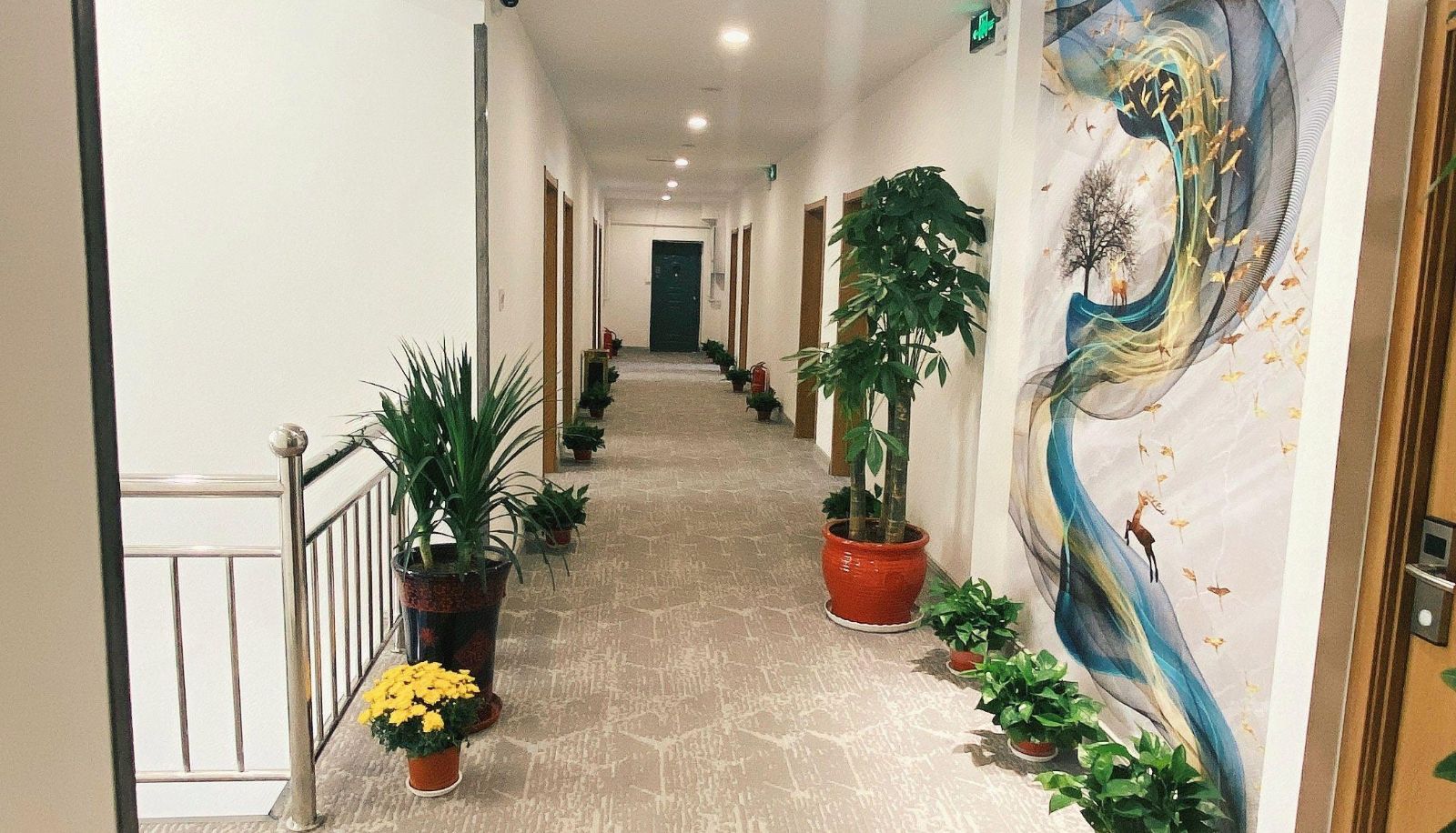 Zona exterior del hotel - Jinjia Business Travel Hotel