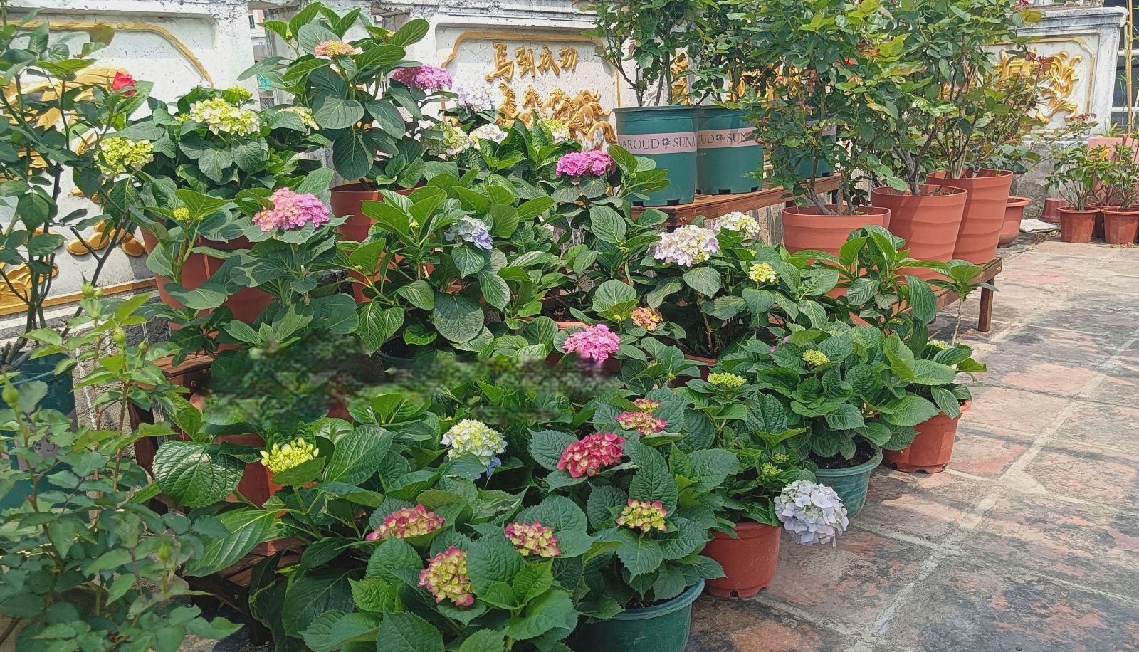 Hotel outdoor area - Xinghua Bieyuan (Small Park Store)