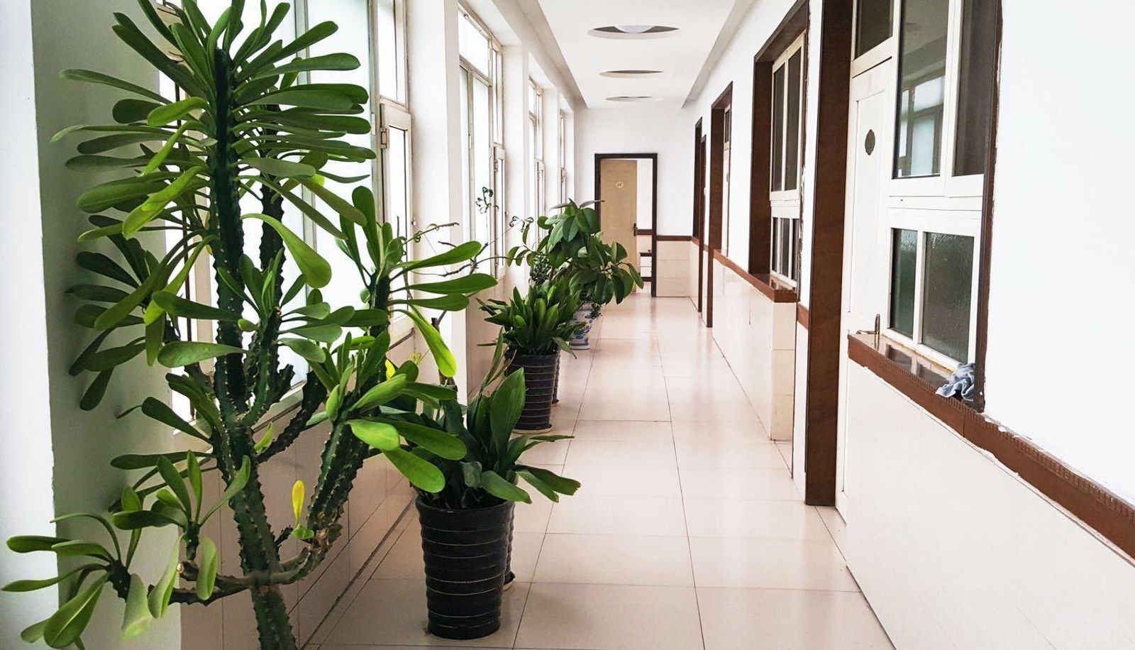 Hotel outdoor area - Home Inn - Xinji Xinghua Road Zhentai Huayi Hotel