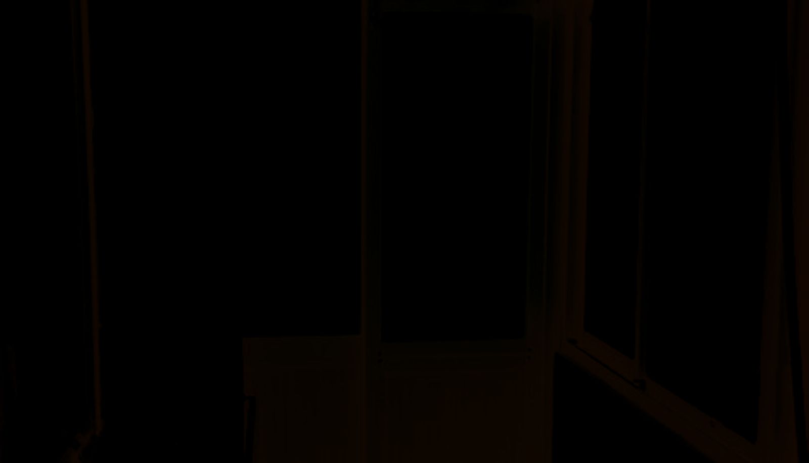Extérieur de l'hôtel - Moonlight Hotel