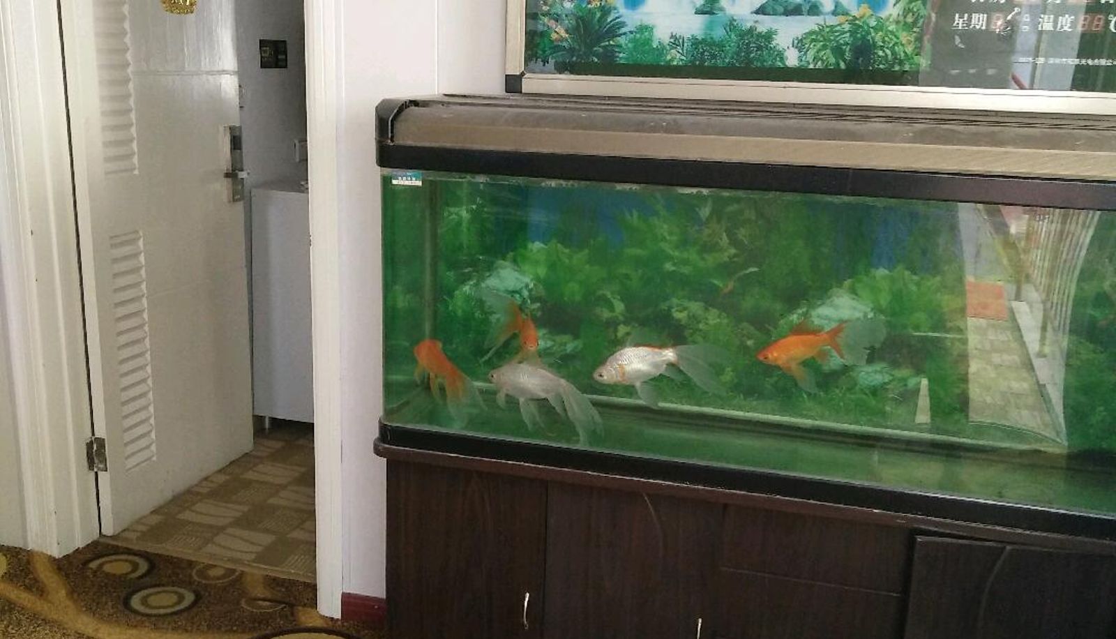 Hotel Außenbreich - Mengyuan Hotel