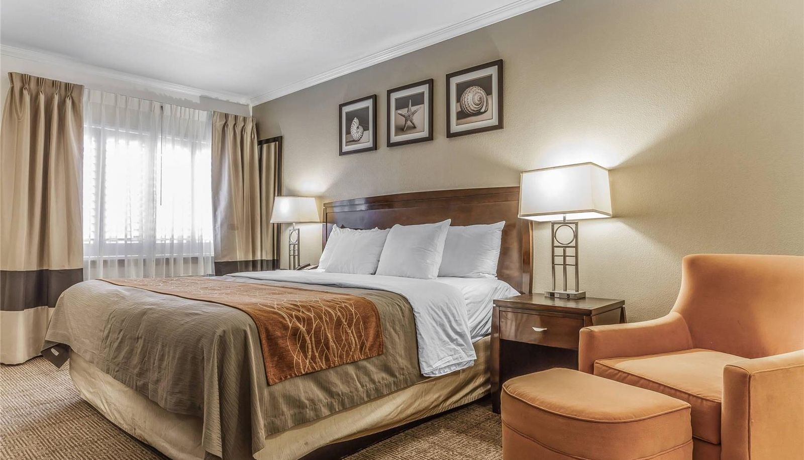 Room - Comfort Inn Santa Cruz North