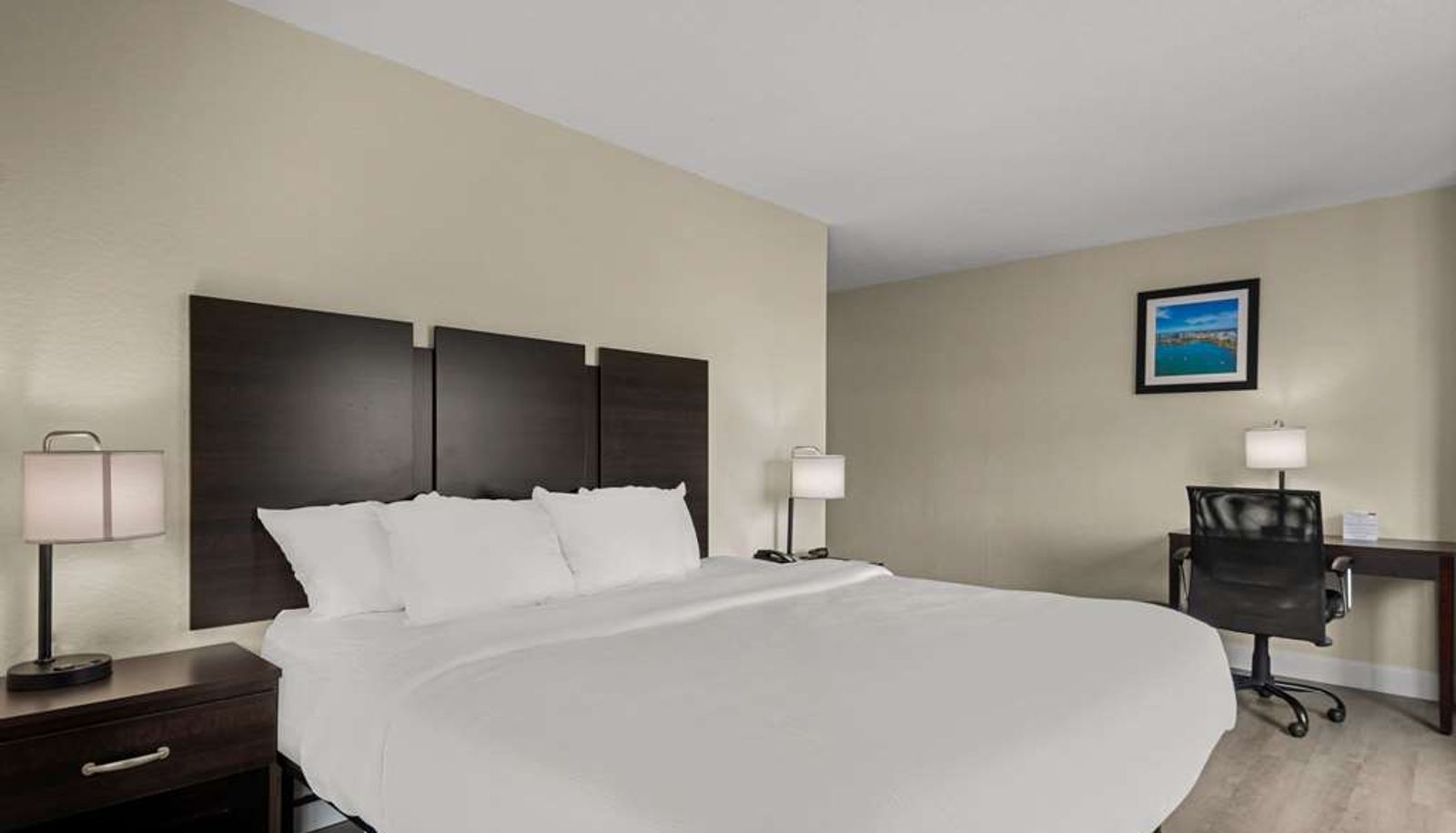 Room - Quality Inn Sarasota I-75