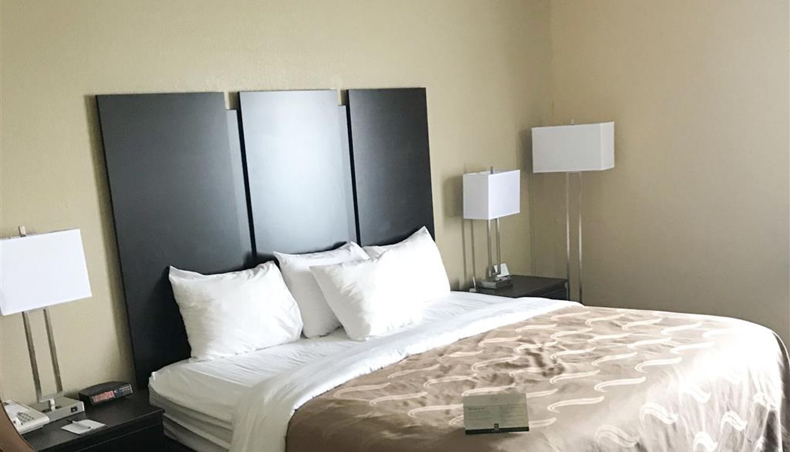 Zimmer - Quality Inn & Suites Mendota near I-39