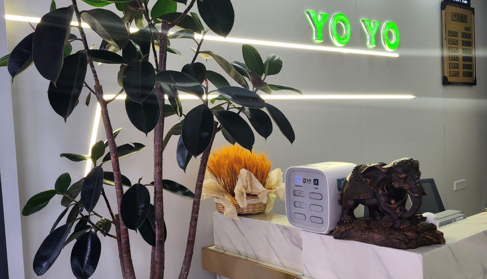 Buitenruimte van het hotel - Youyou Hotel