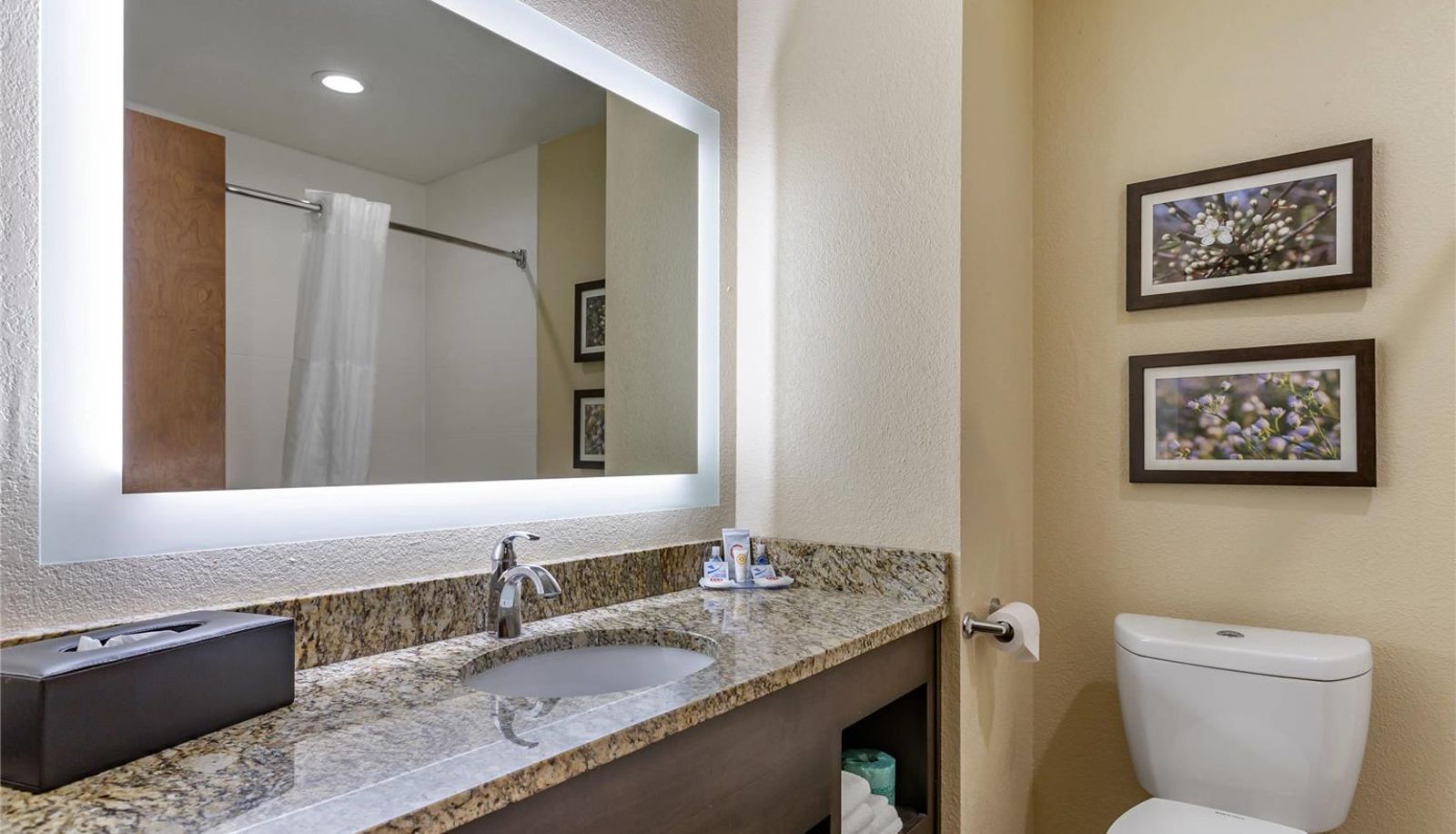 Camera - Comfort Inn St. Robert/Fort Leonard Wood