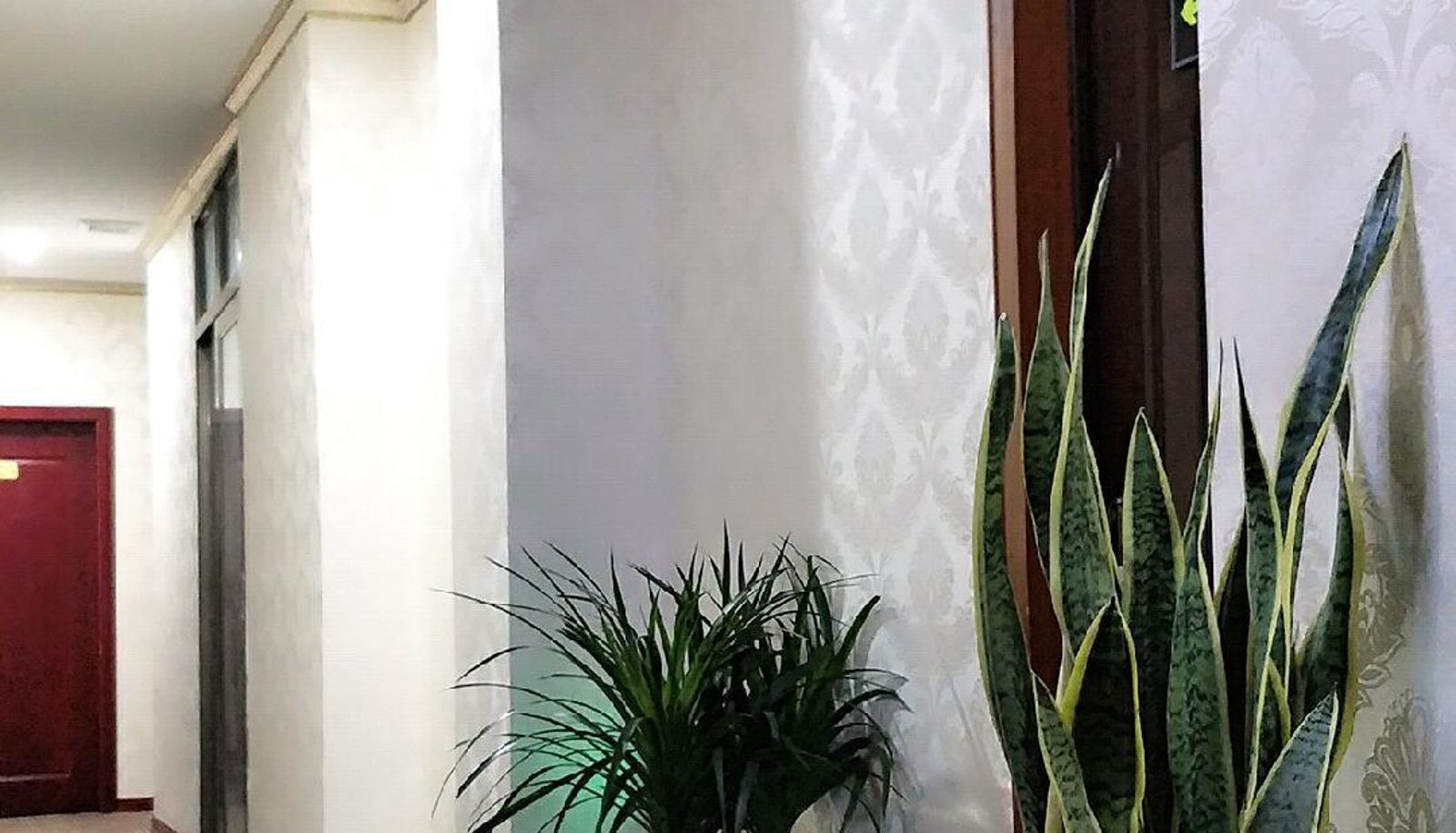 Zewnętrzna część hotelu - Xinyue Hotel