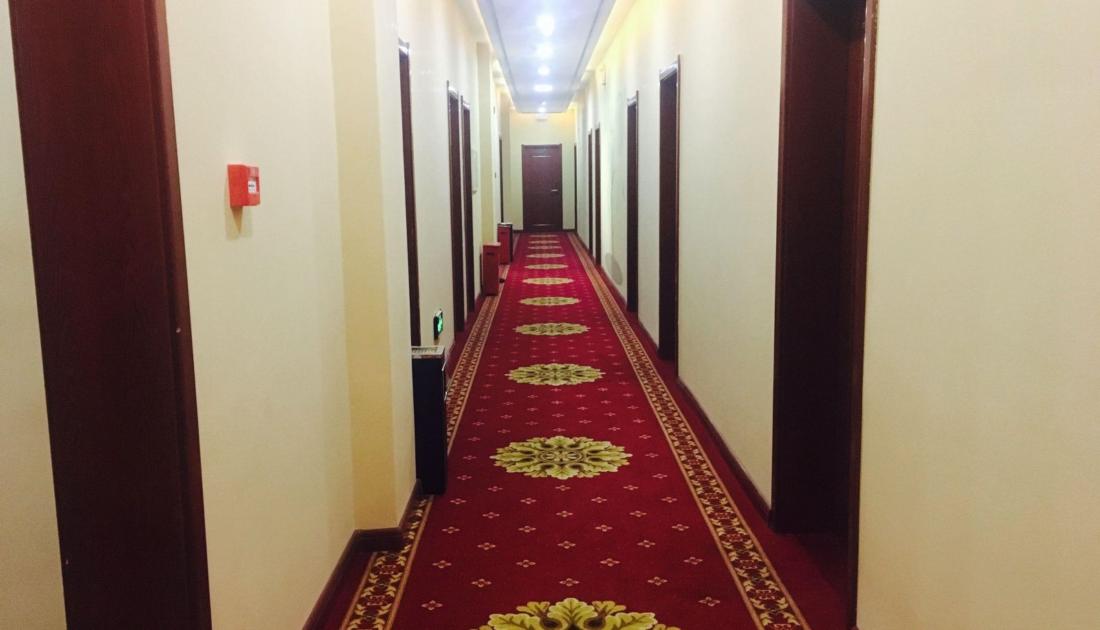 Area esterna dell'hotel - Luxury No.1 Hotel