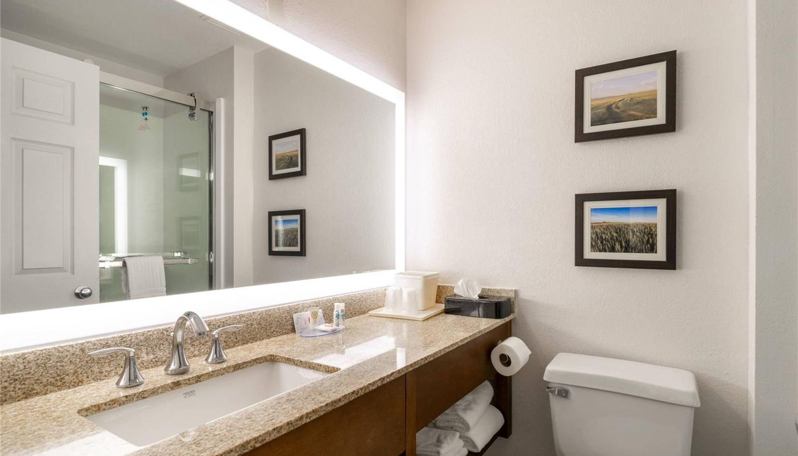 Zimmer - Comfort Inn Great Falls South
