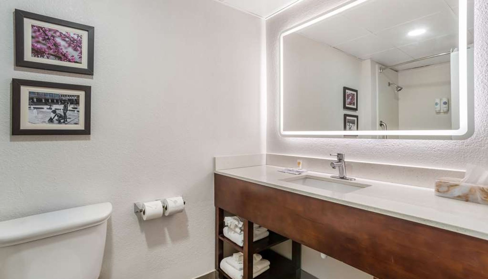 Zimmer - Comfort Inn Charlotte Airport Uptown