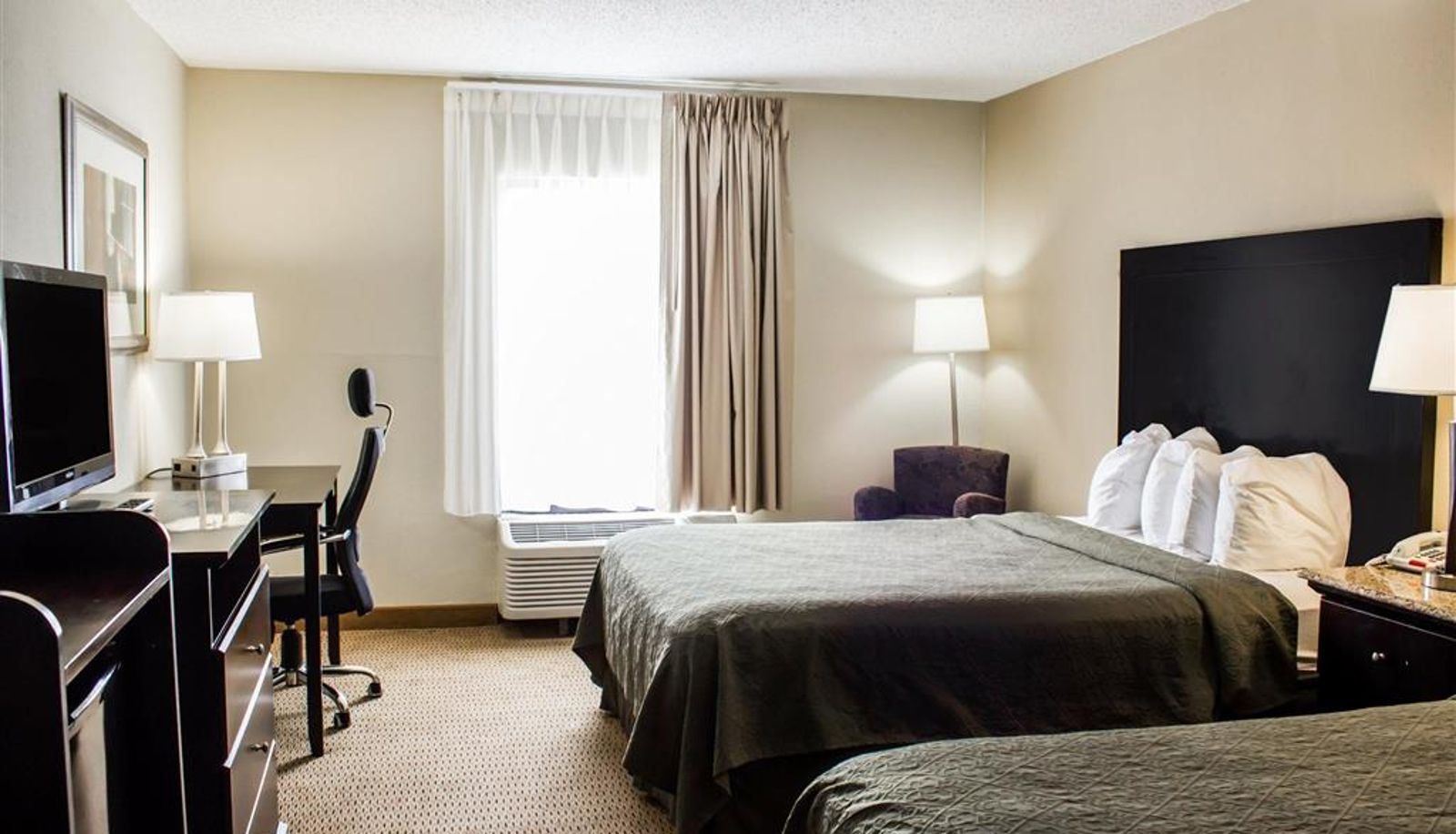 Zimmer - Quality Inn & Suites Wilson I-95