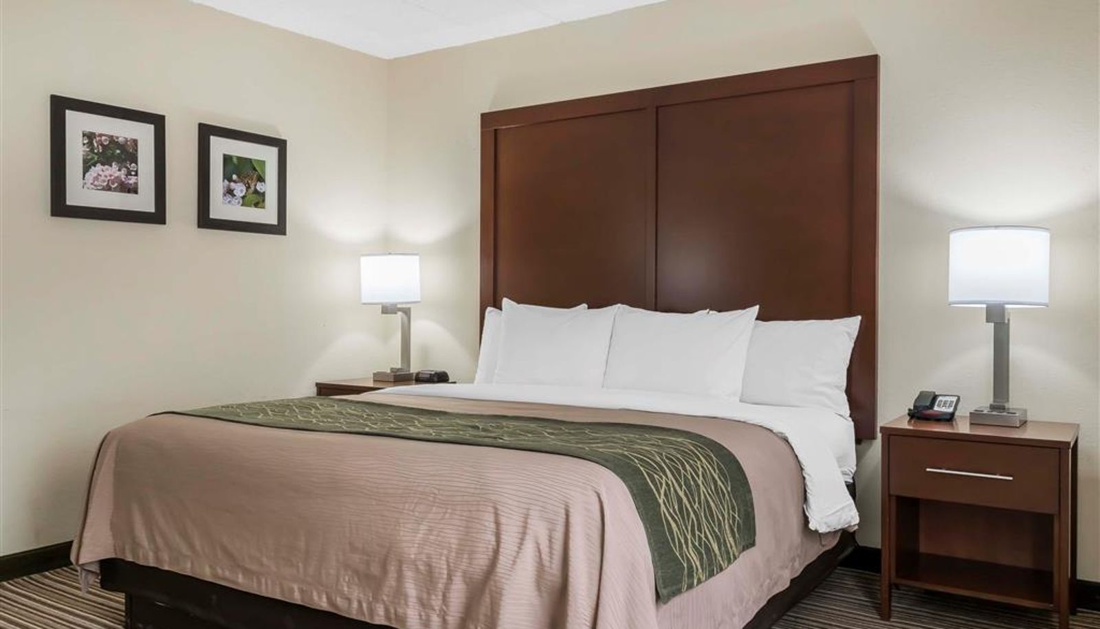 Room - Comfort Inn - Pocono Mountains