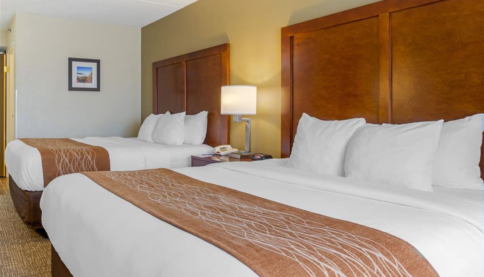 Zimmer - Comfort Inn & Suites Wilkes Barre - Arena